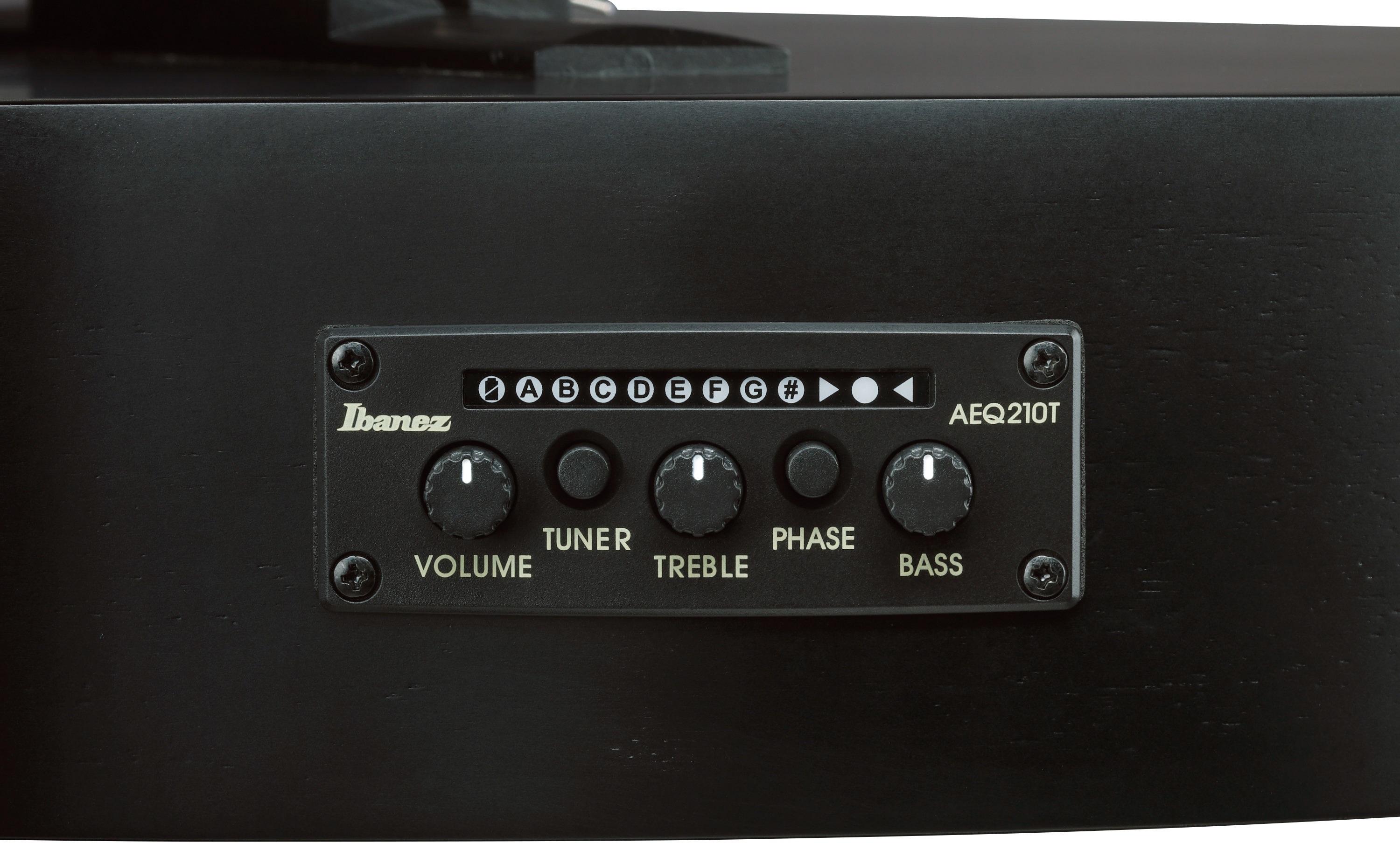 Ibanez GA621-BOT (obrázek 8)