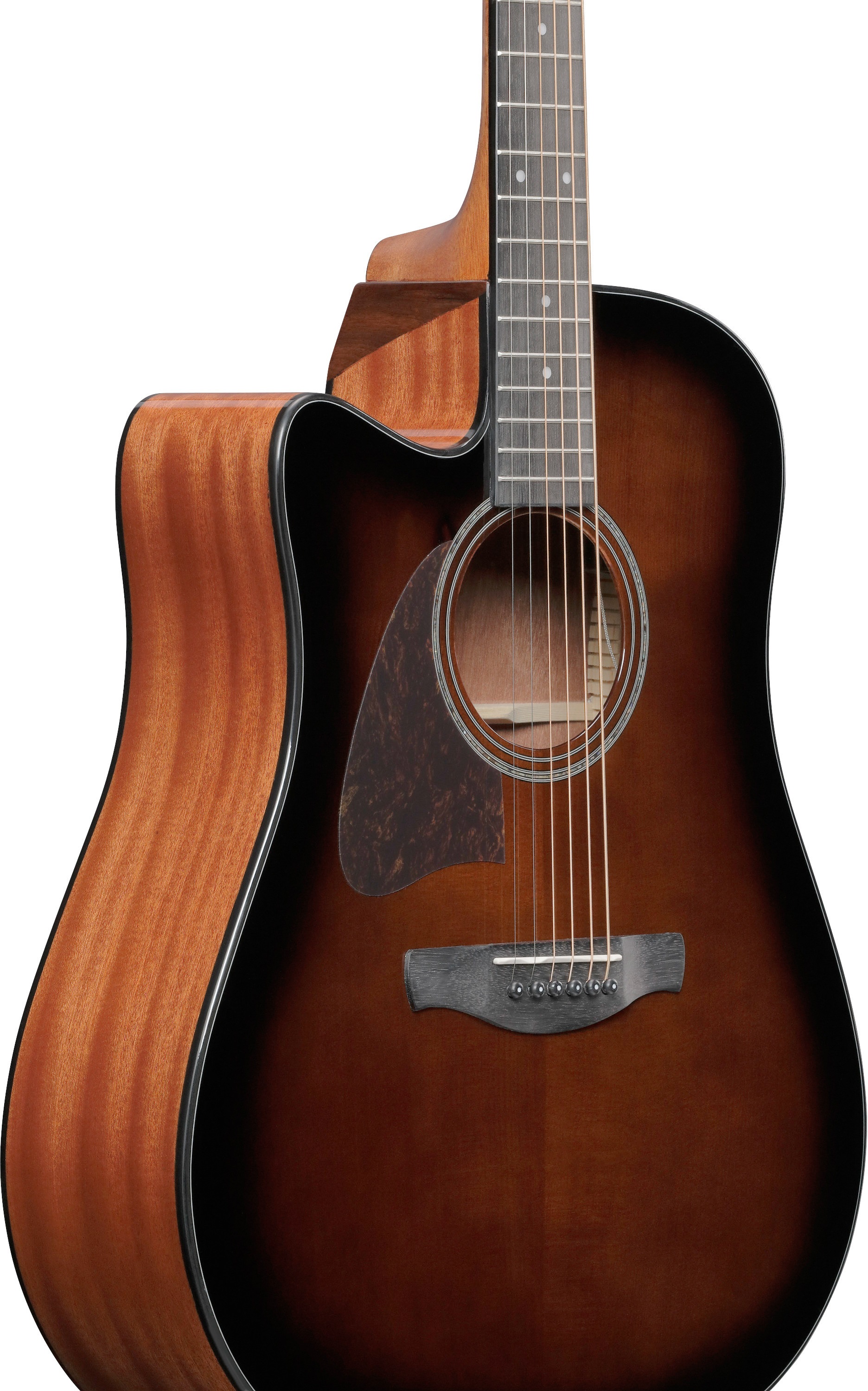 Ibanez AAD51LCE-DVS (obrázek 4)