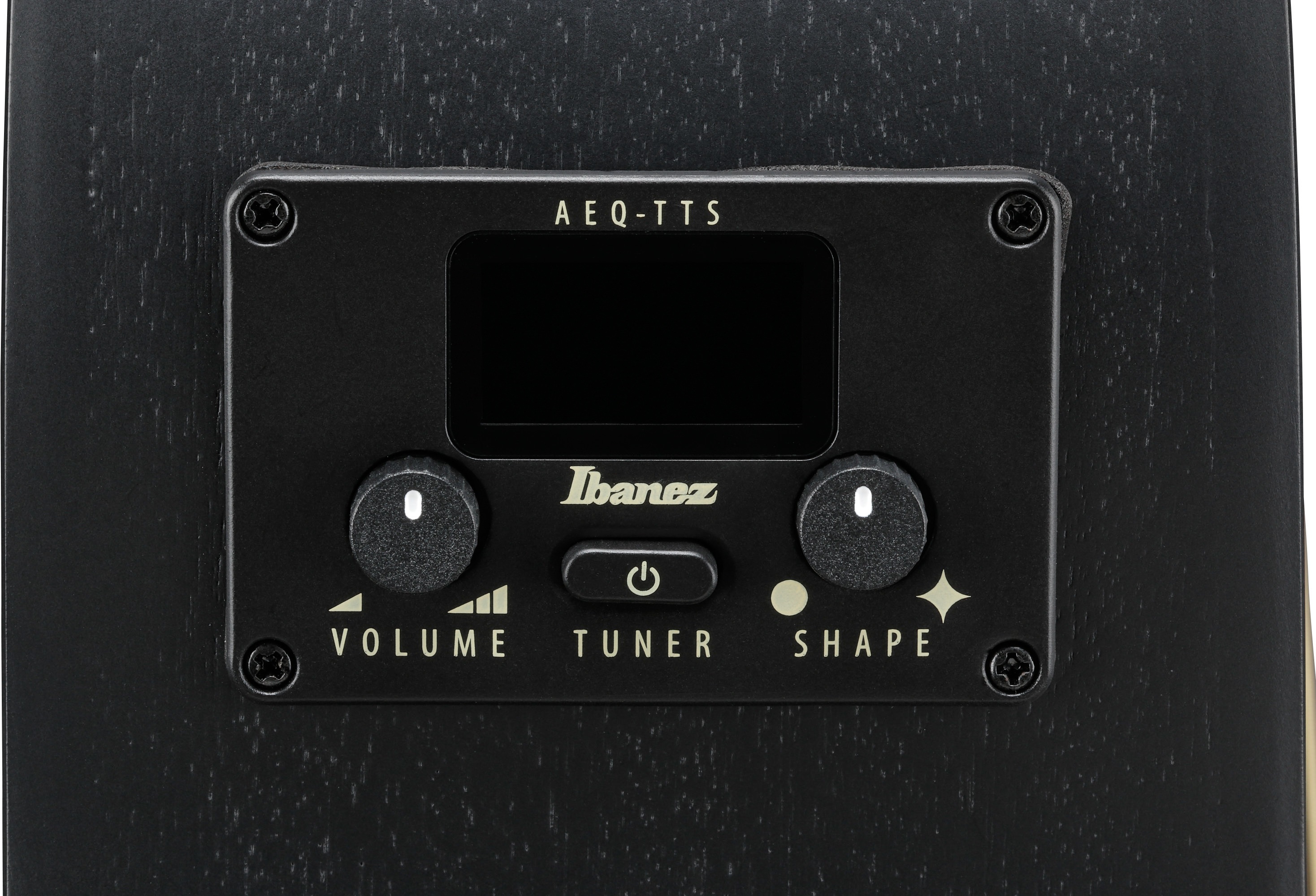 Ibanez AEG621-BOT (obrázek 8)