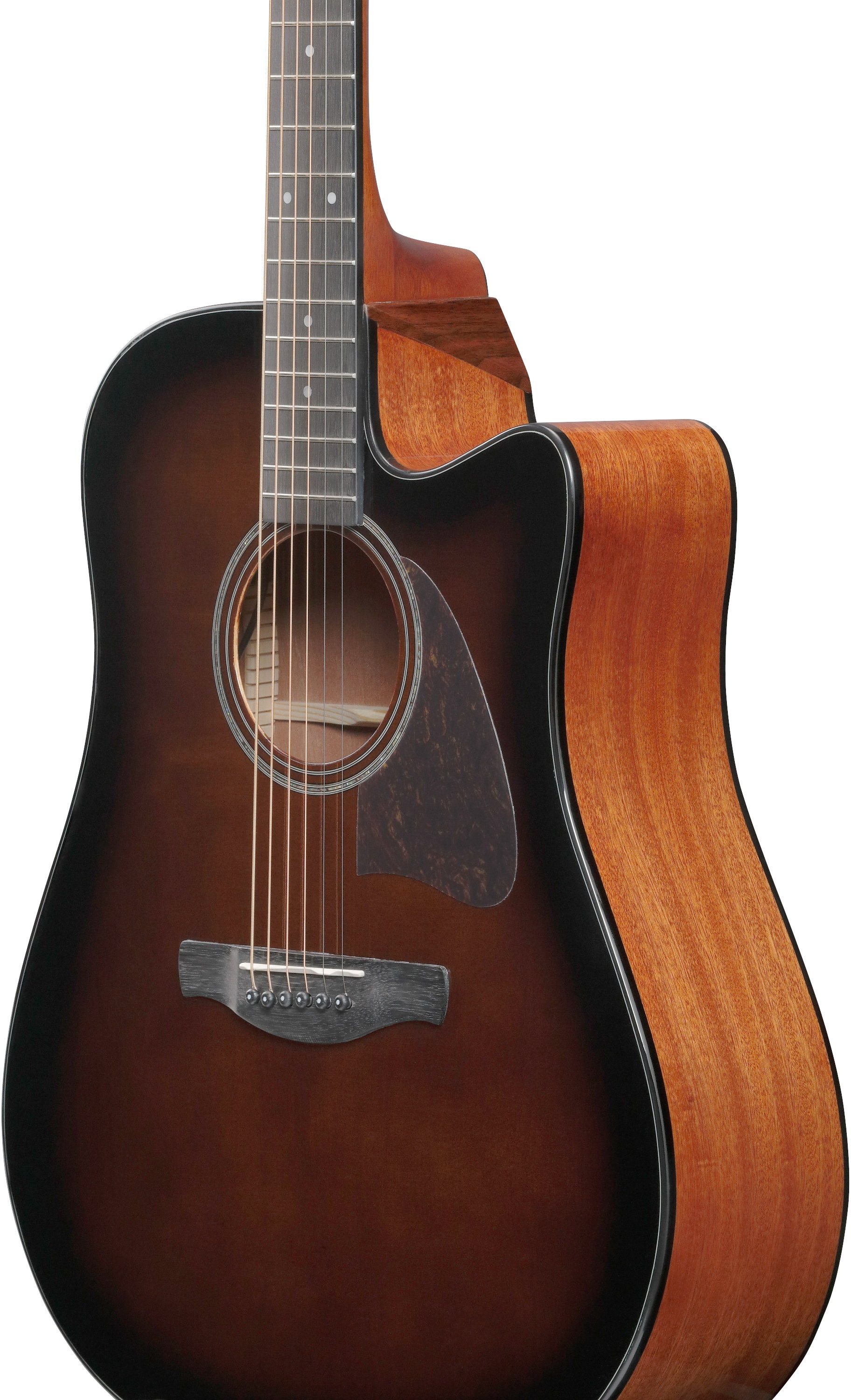 Ibanez AAD51CE-DVS (obrázek 4)