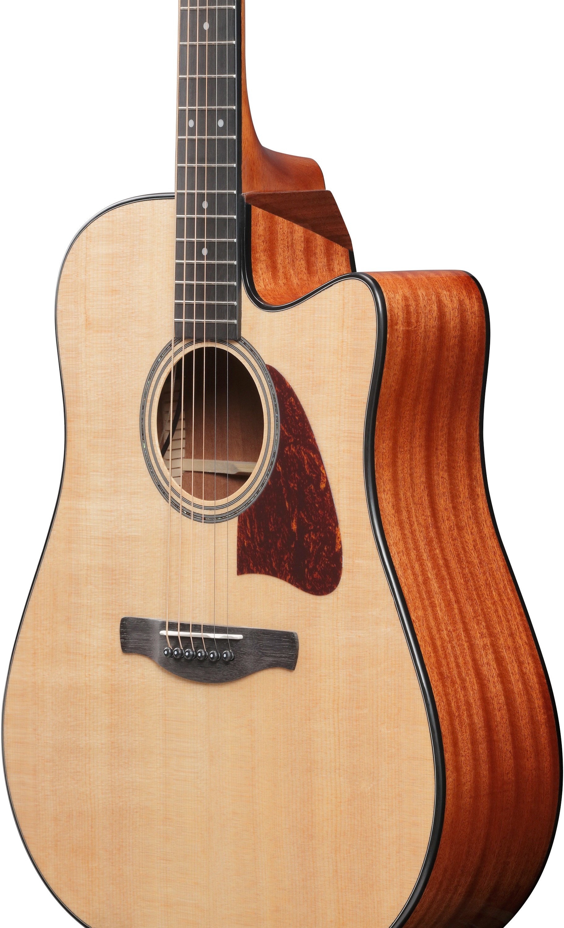 Ibanez AAD51CE-NT (obrázek 4)