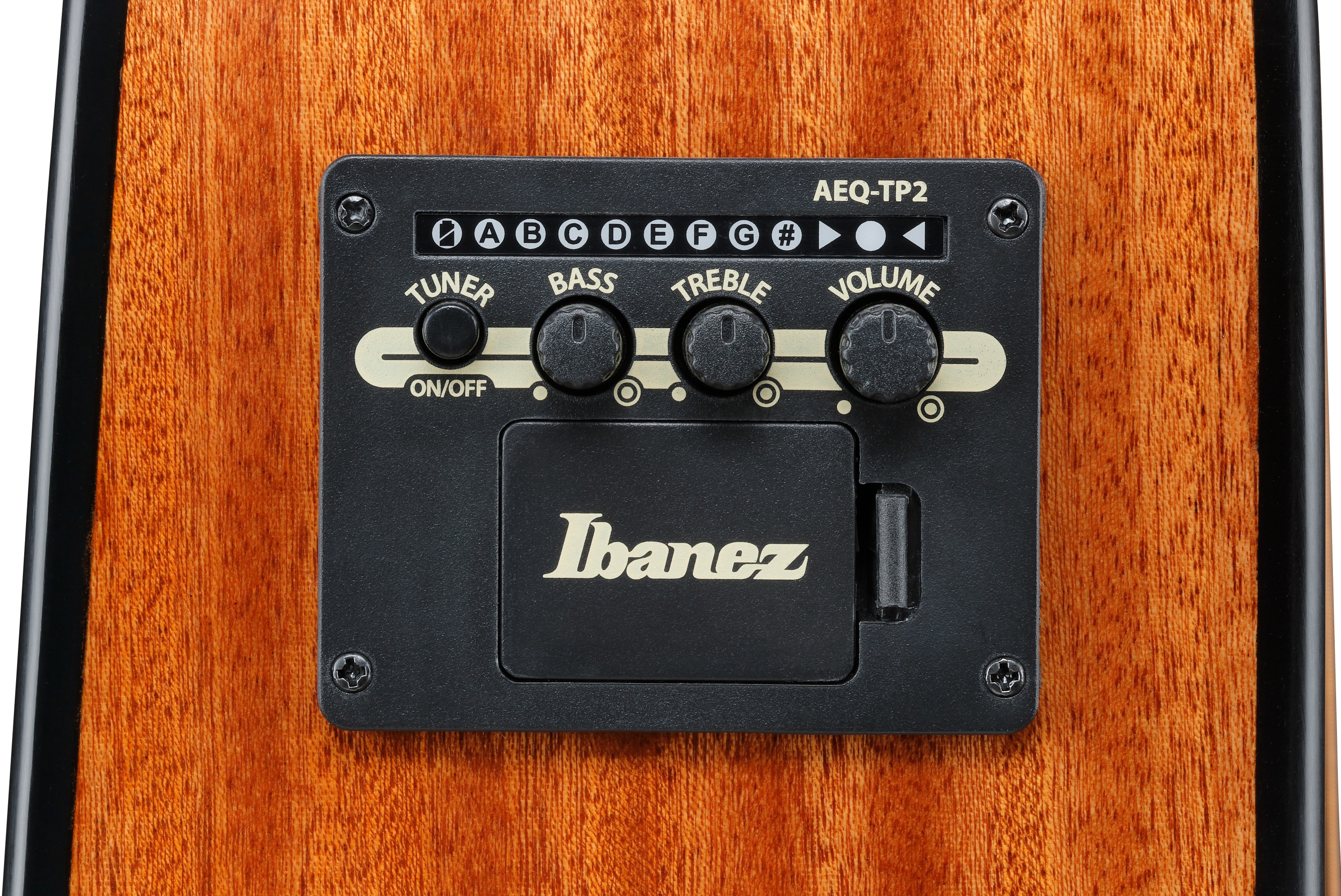 Ibanez AAD51CE-NT (obrázek 8)