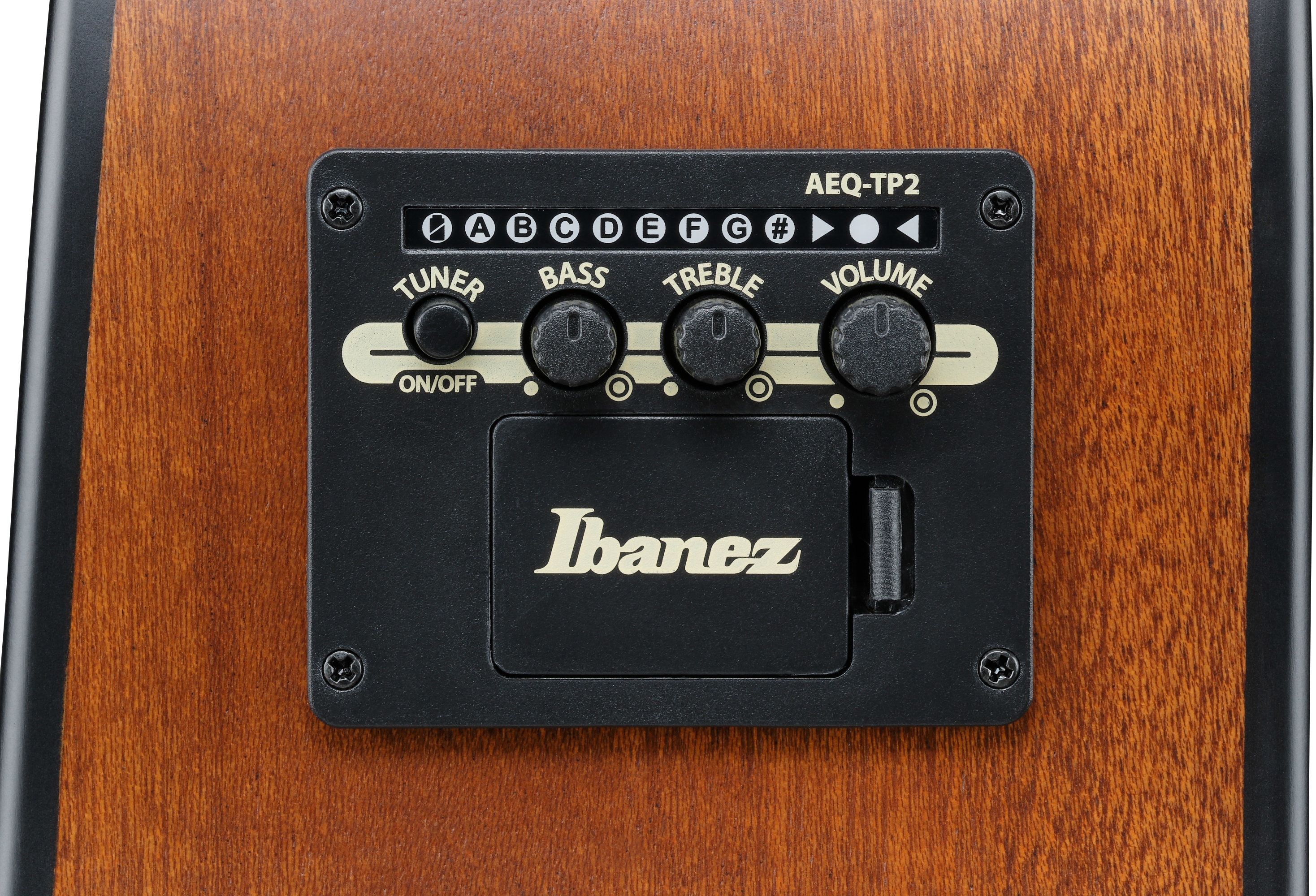 Ibanez AAD54E-OMH (obrázek 8)