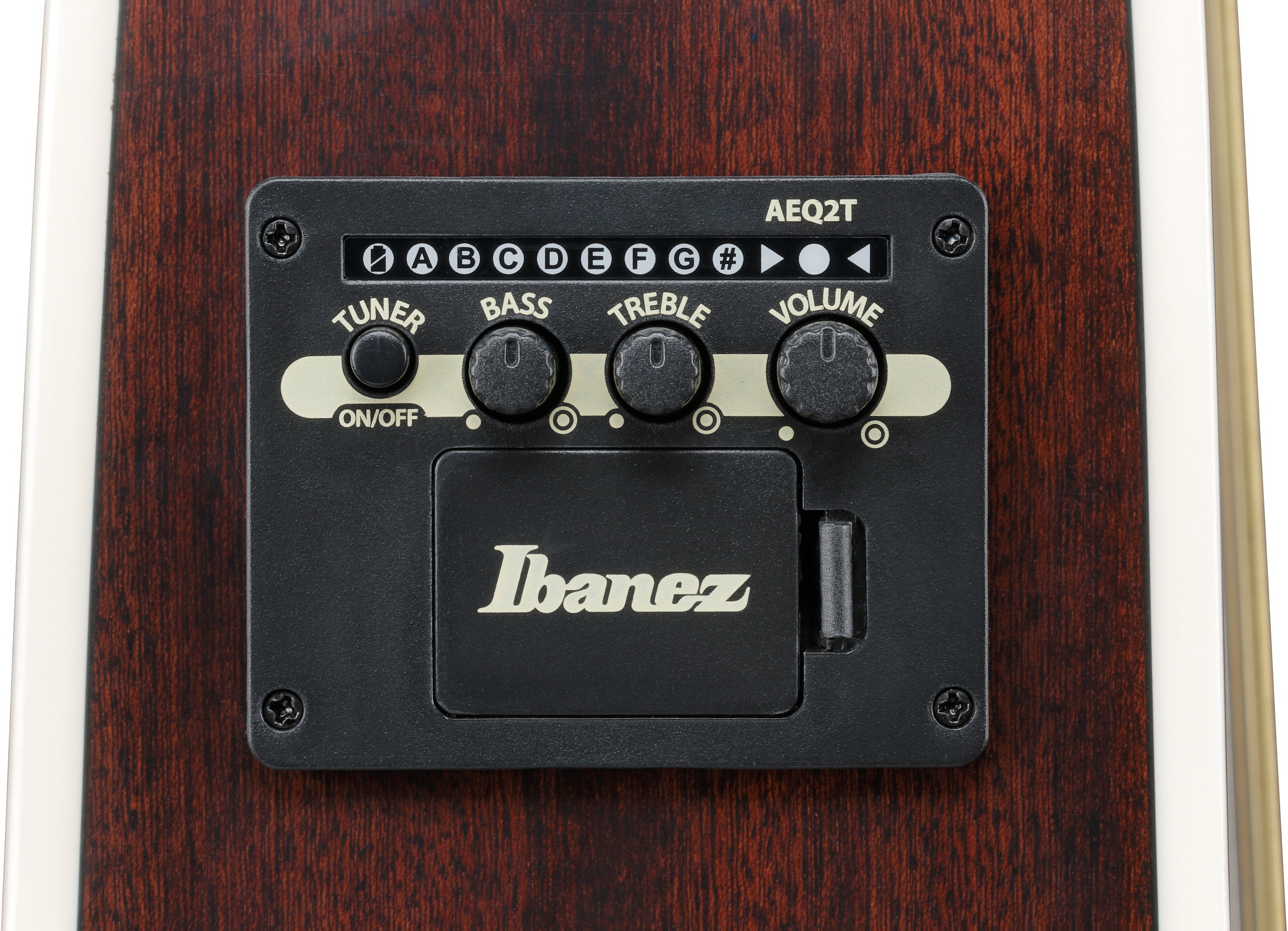 Ibanez ALT50FA-BDB (obrázek 8)