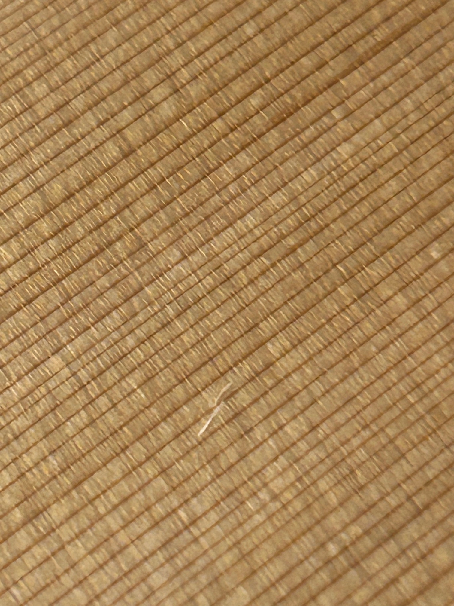 Godin Multiac ACS-SA SLIM Nylon Natural SG (použité) (obrázek 8)