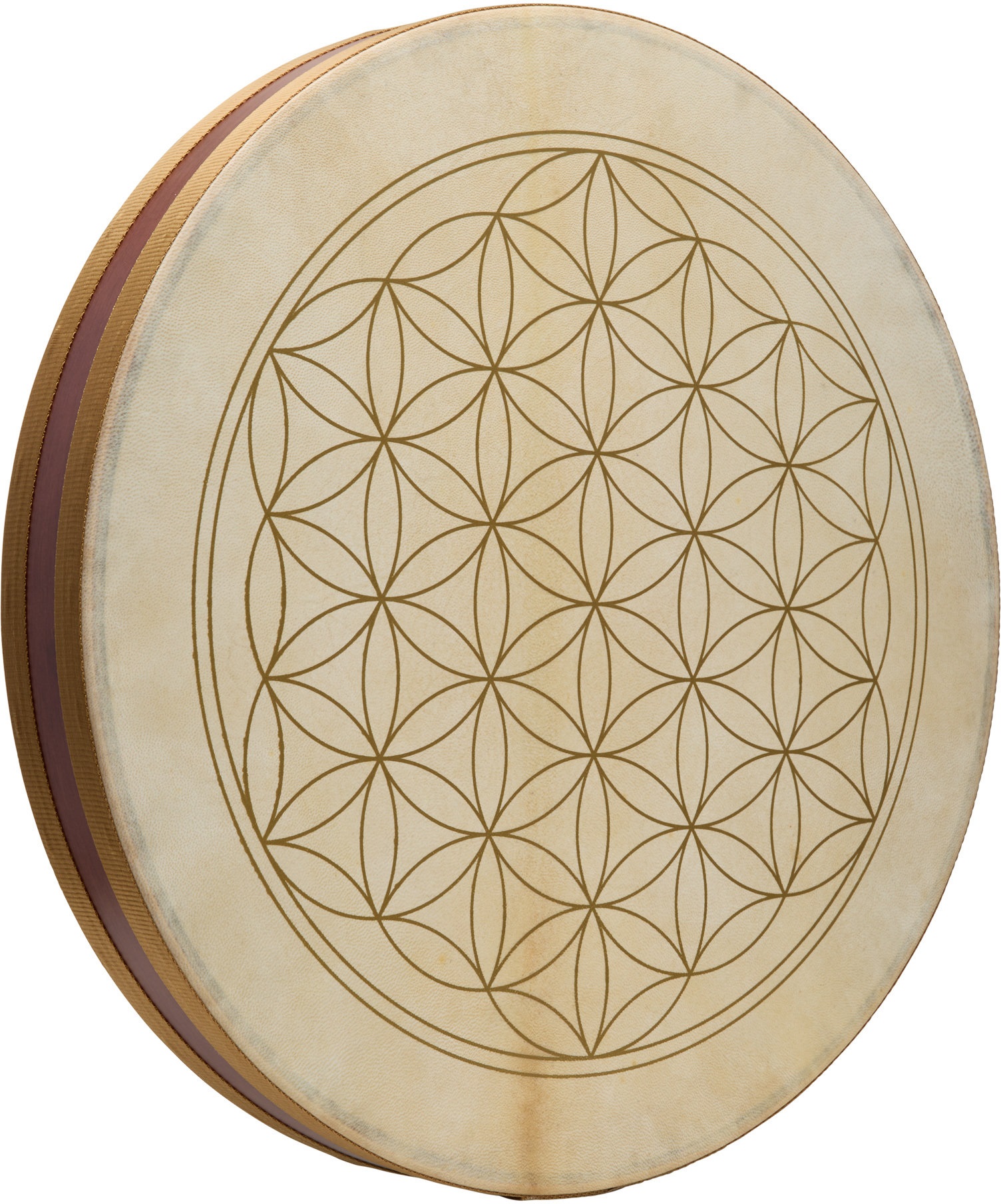 Levně Meinl Sonic Energy WD20FOL