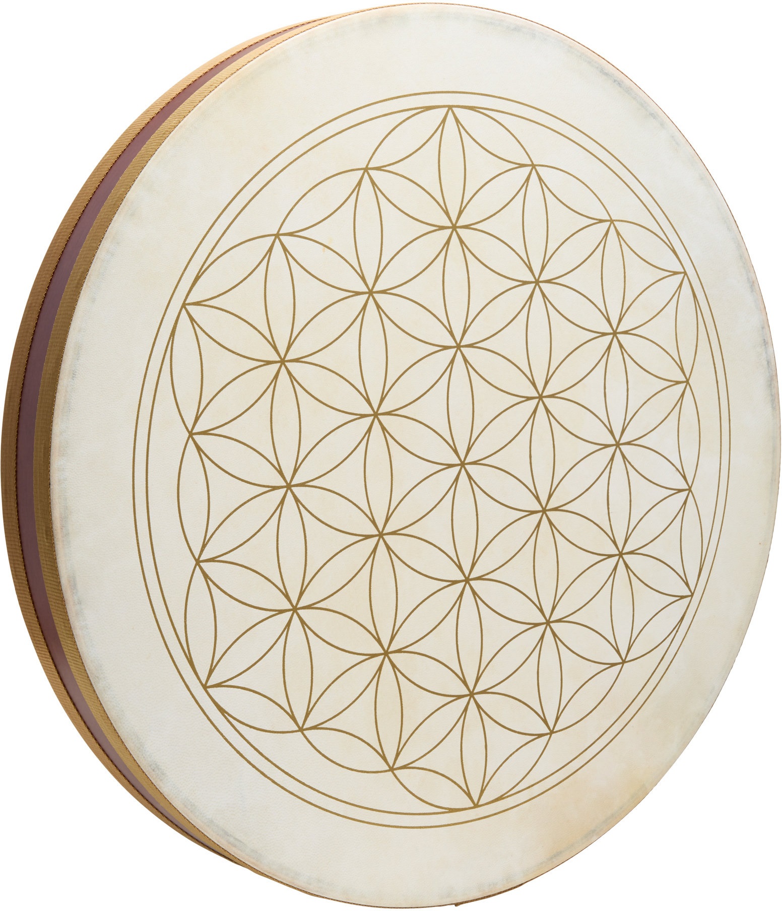 Levně Meinl Sonic Energy WD22FOL