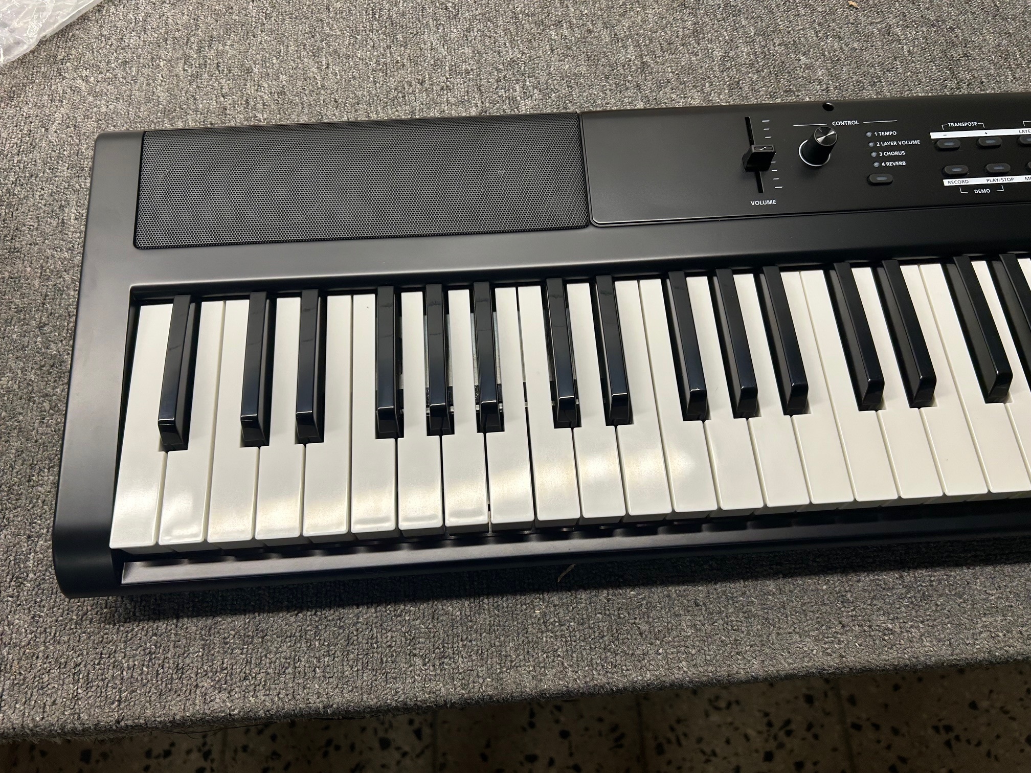 Kurzweil KA S1 LB (použité) (obrázek 15)