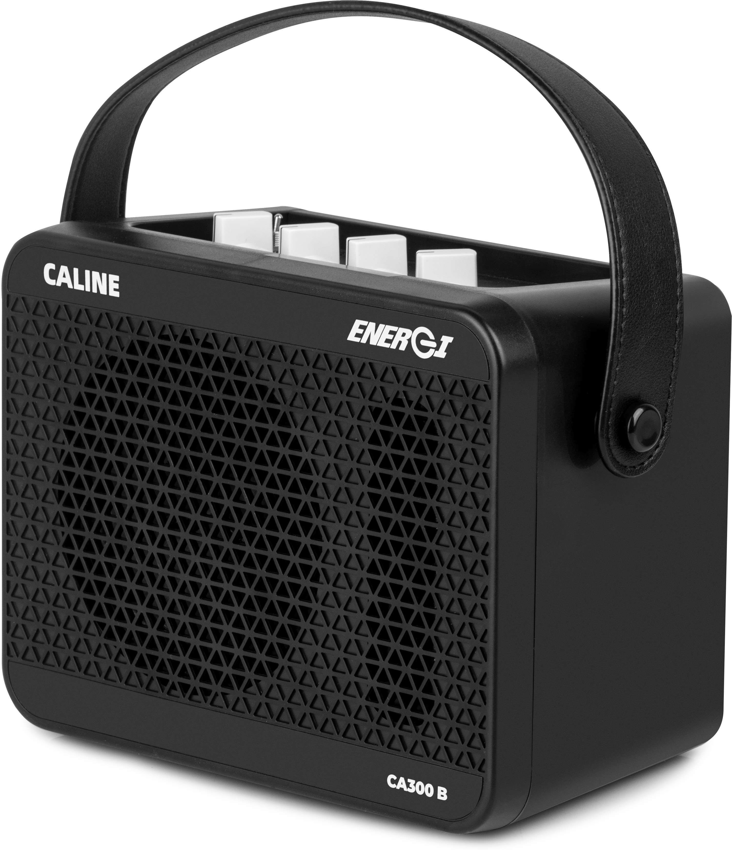 Caline CA-300B (obrázek 3)