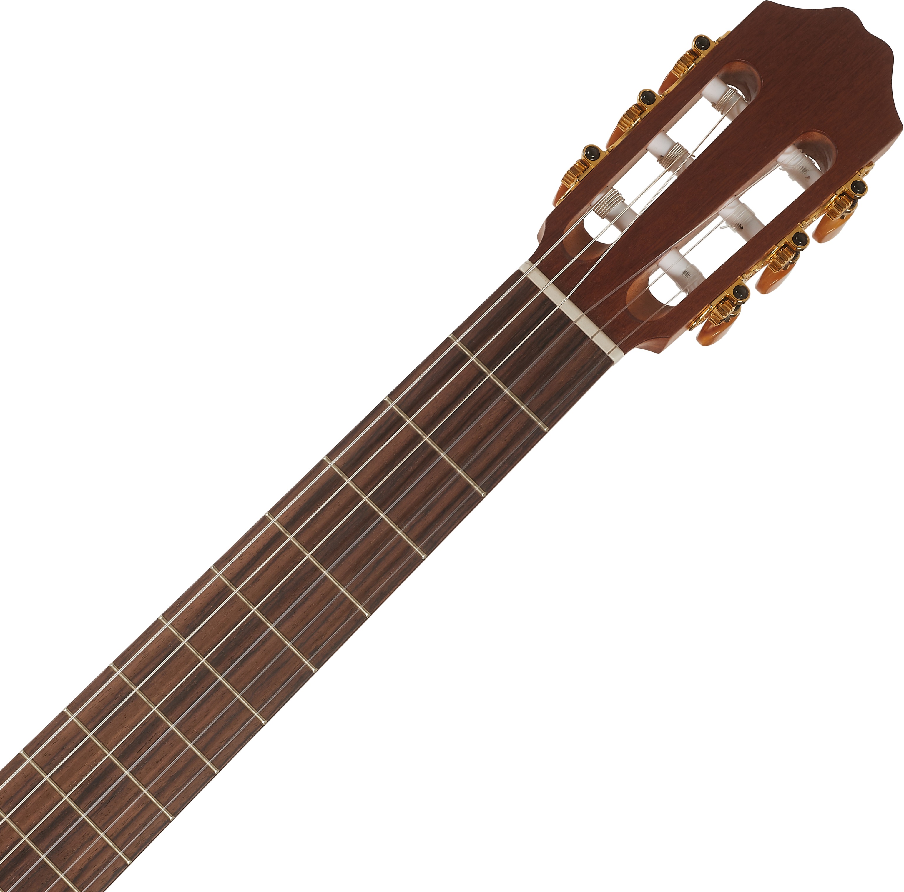 Kremona S65C (obrázek 4)