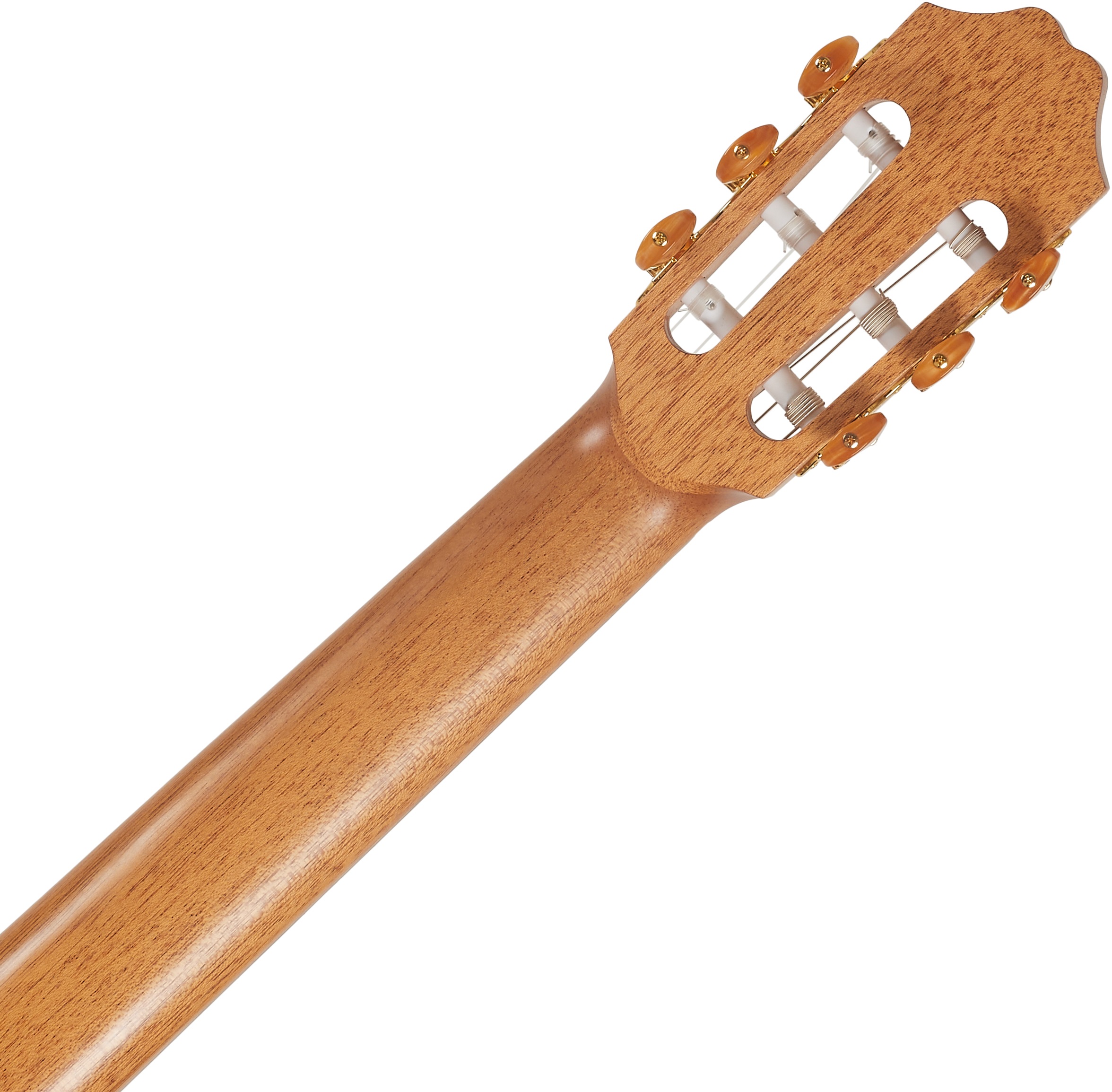 Kremona S65C (obrázek 5)