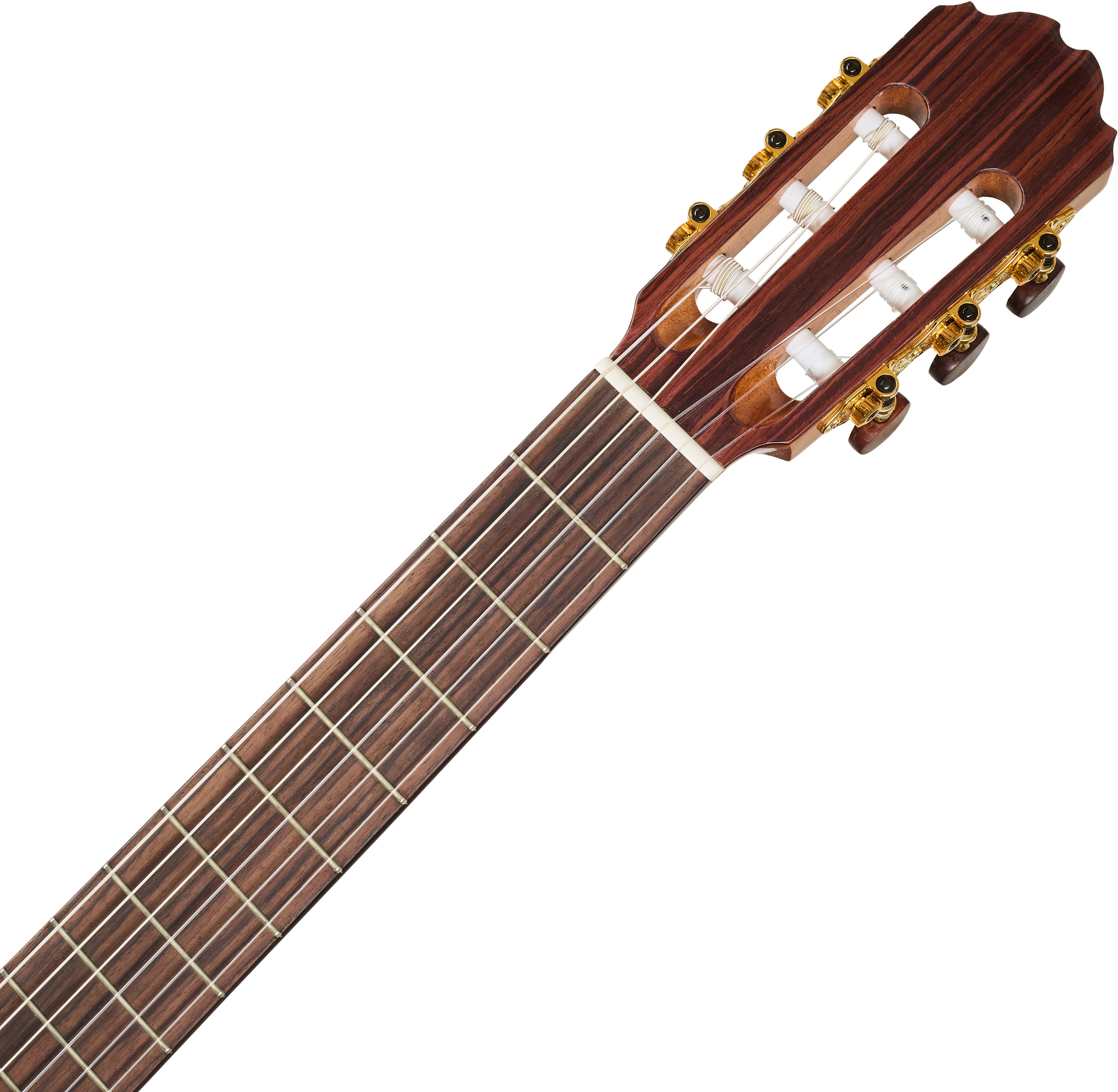 Kremona Fiesta TLR (obrázek 5)