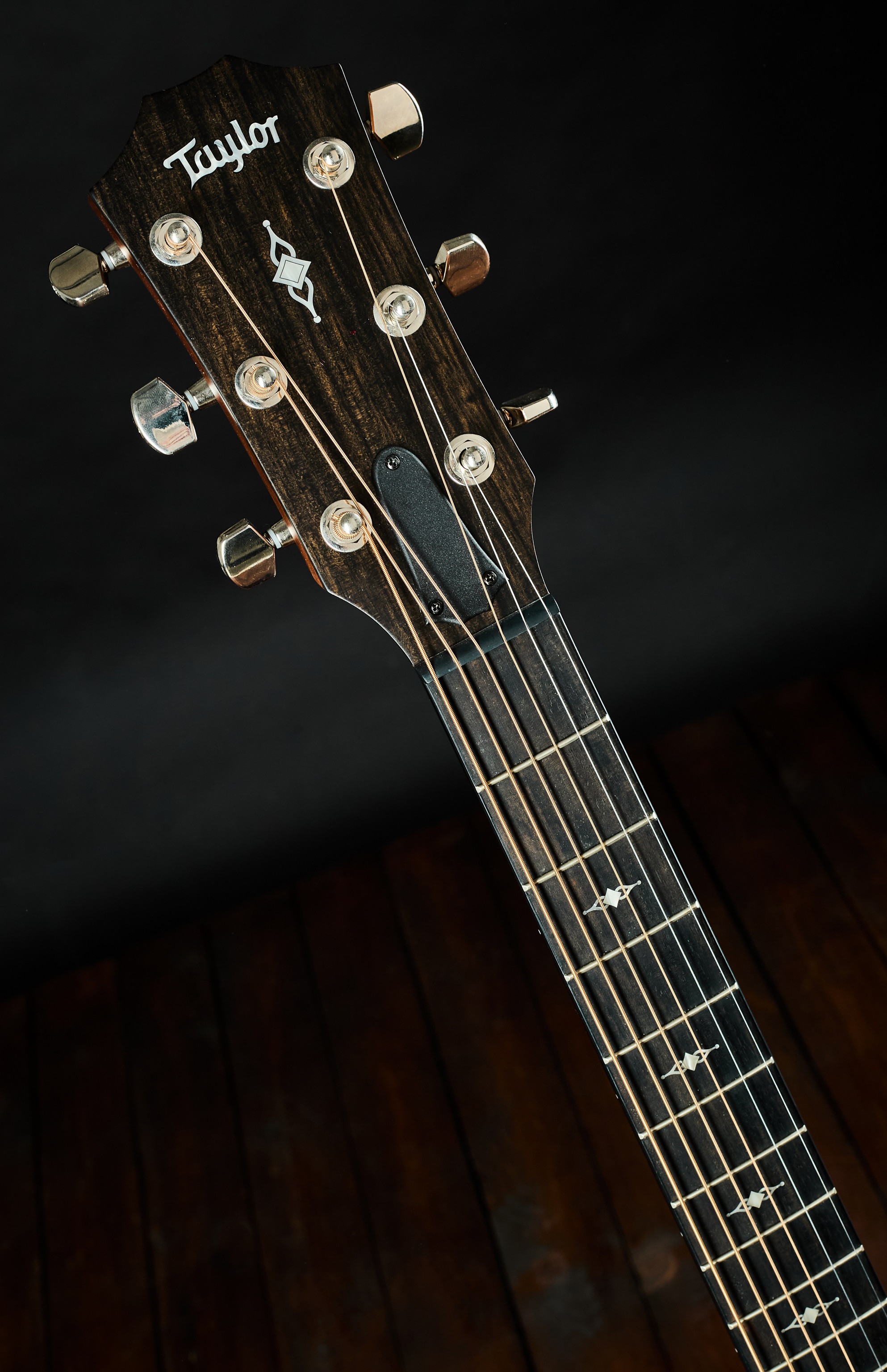 Taylor 2023 314ce (obrázek 5)