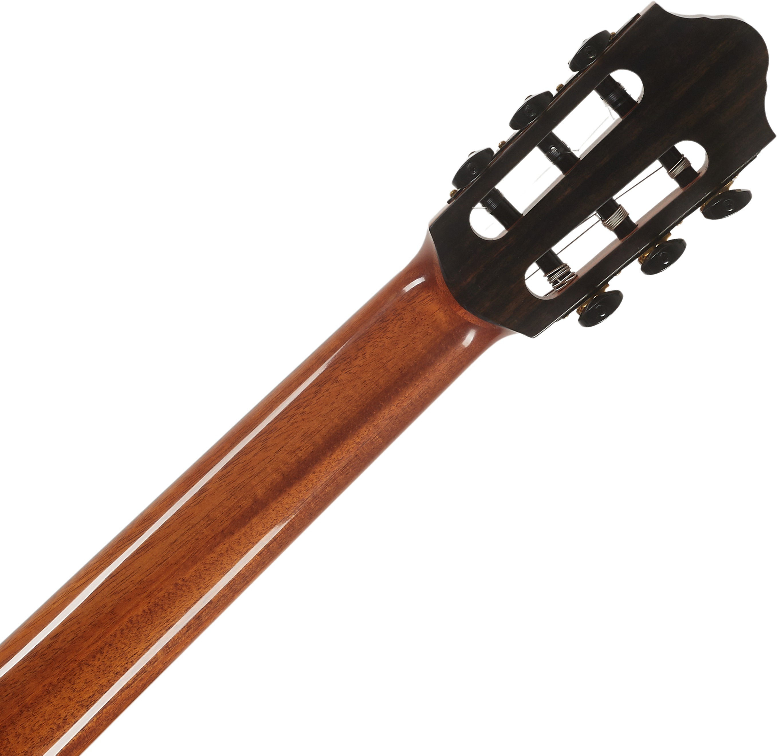 Kremona Romida RD-S (obrázek 5)