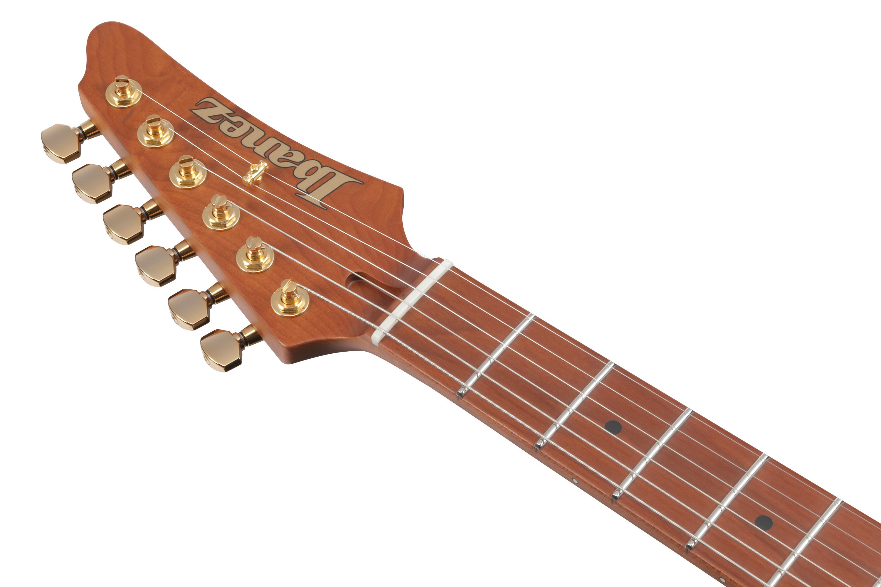 Ibanez AZ2204AG-TGB (obrázek 5)