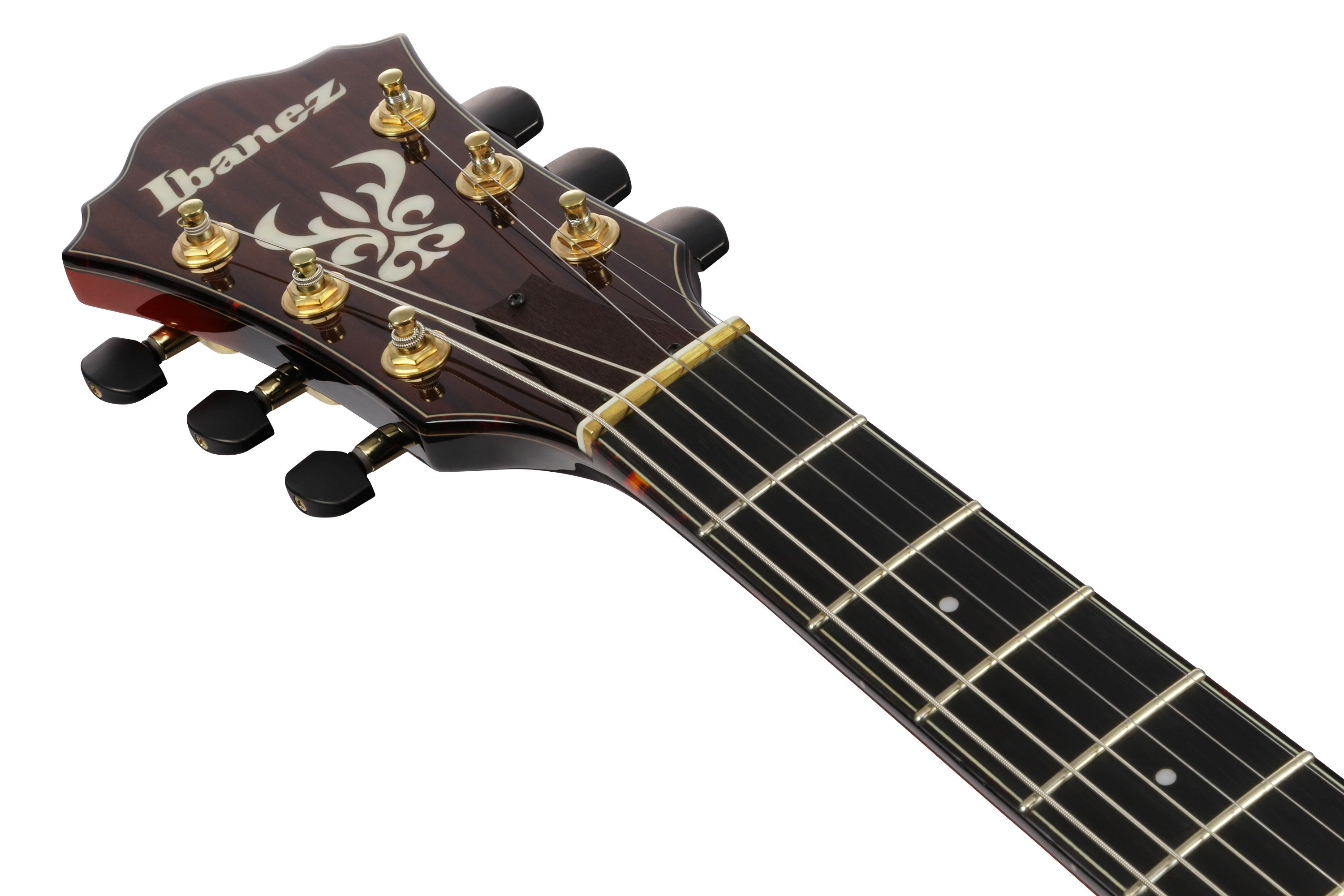 Ibanez ASH300-TBC (obrázek 5)