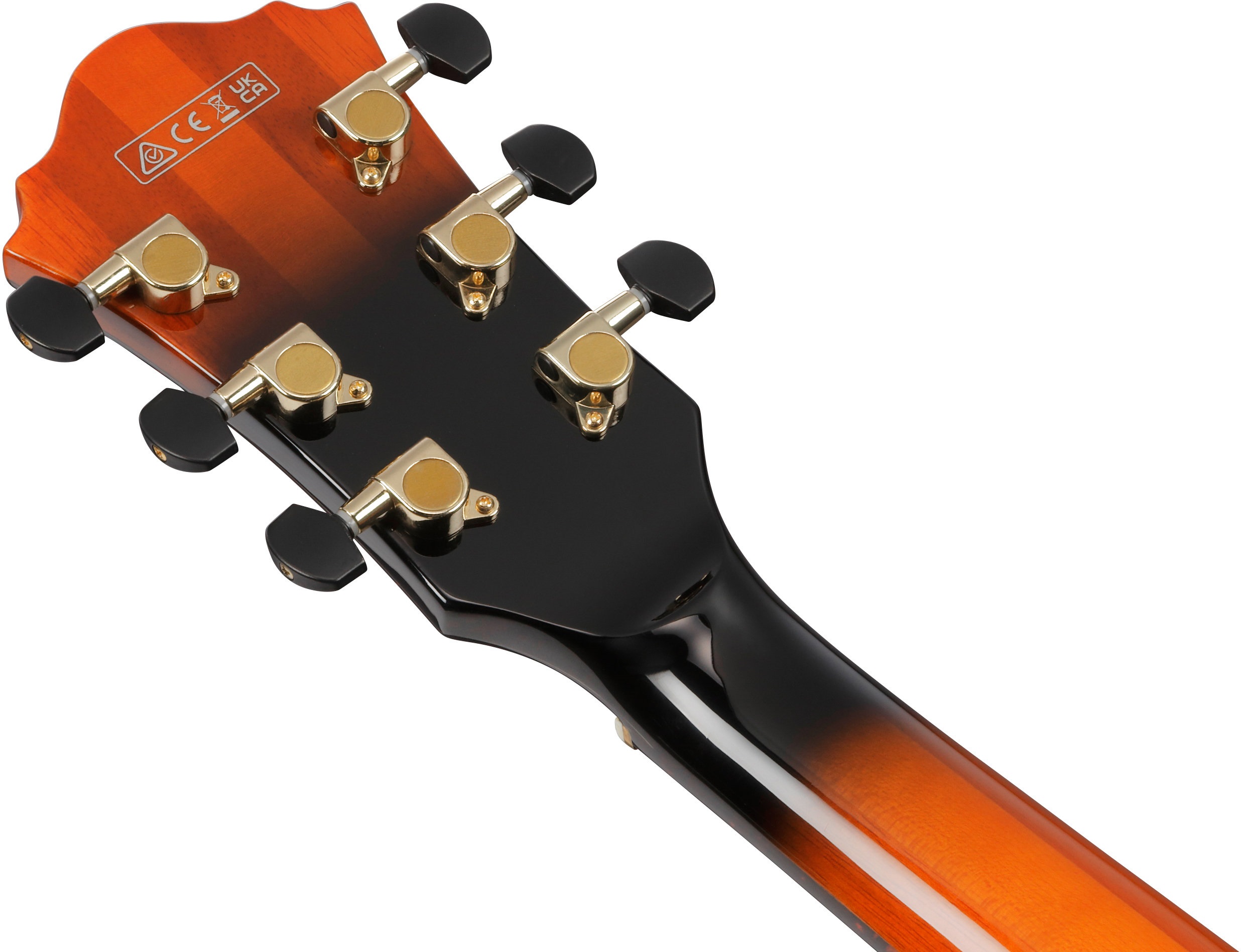 Ibanez ASH300-TBC (obrázek 6)