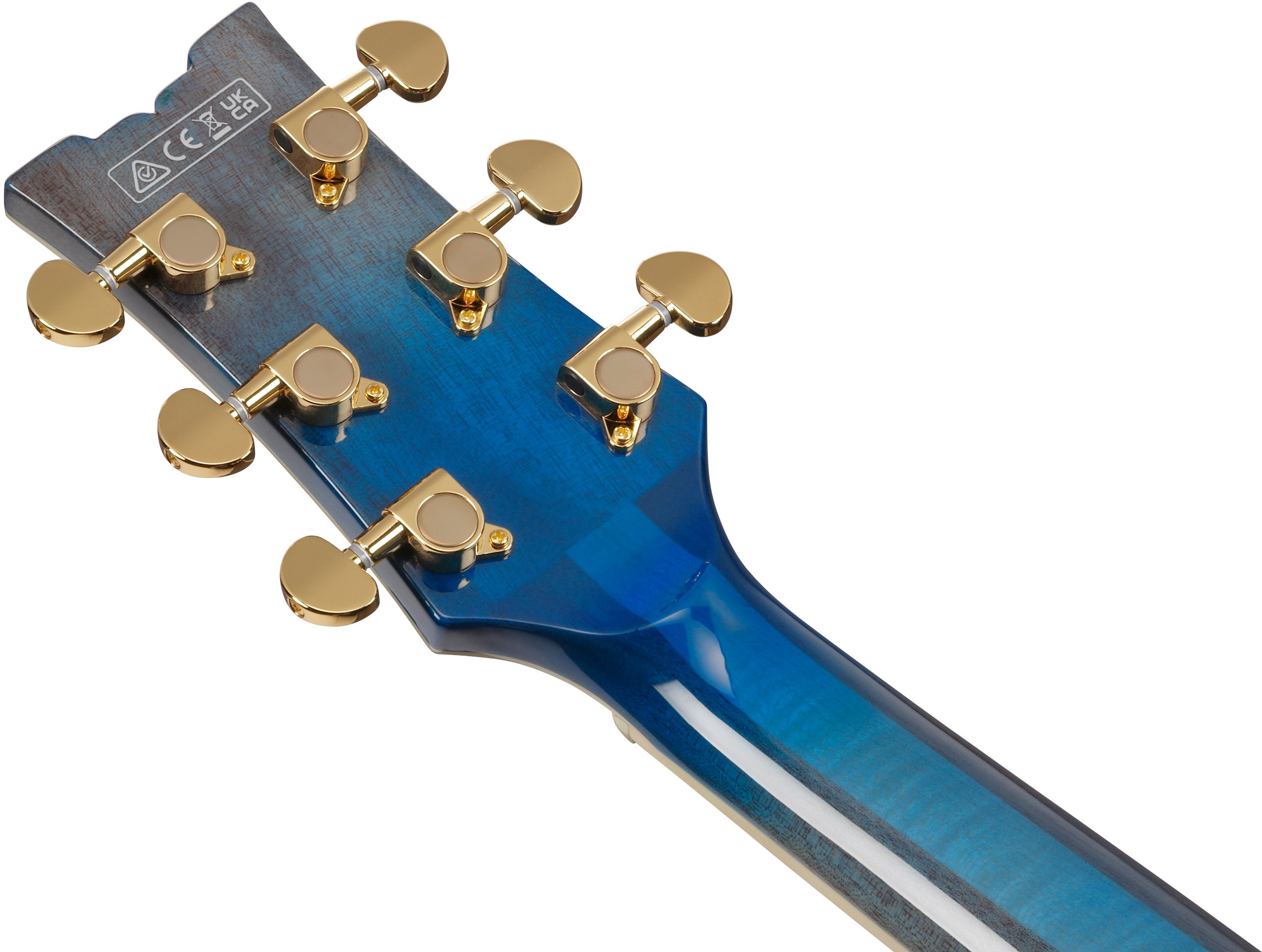 Ibanez AM93QA-JBB (obrázek 6)