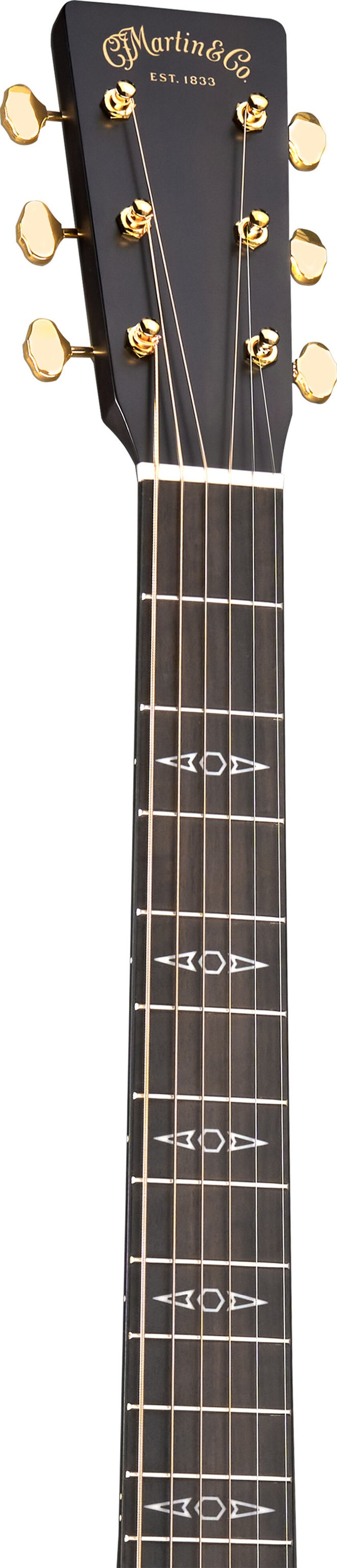 Martin GPCE Inception Maple (obrázek 3)