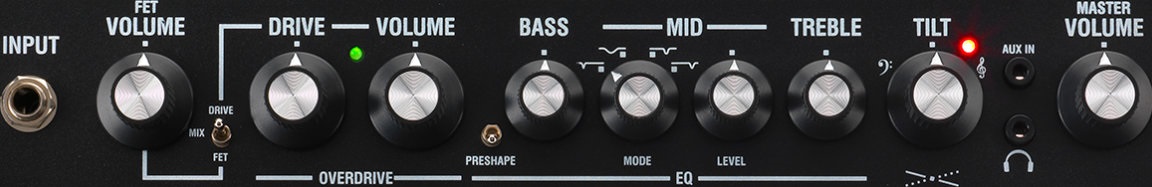 Laney DIGBETH DBF-100 (obrázek 4)