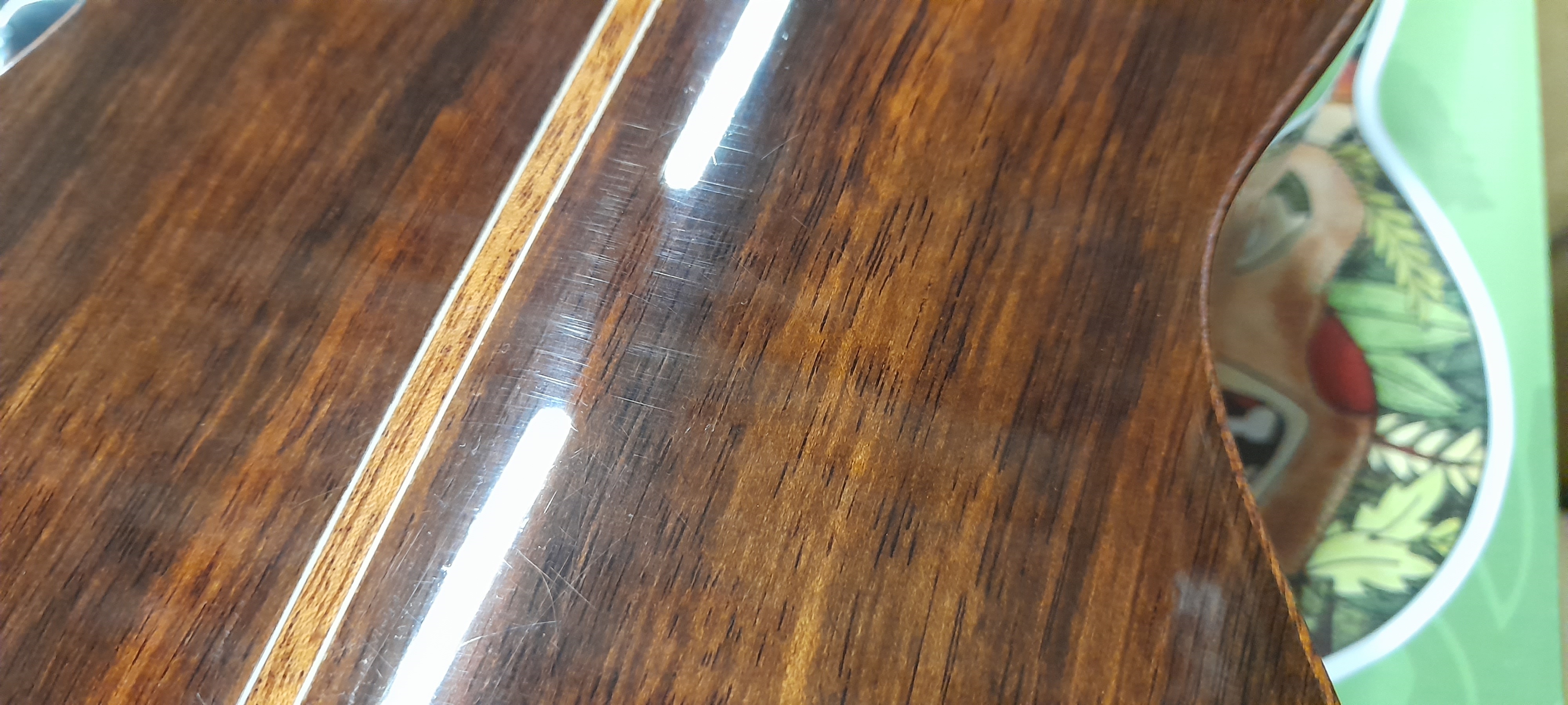 Ortega RUET-EB (použité) (obrázek 6)