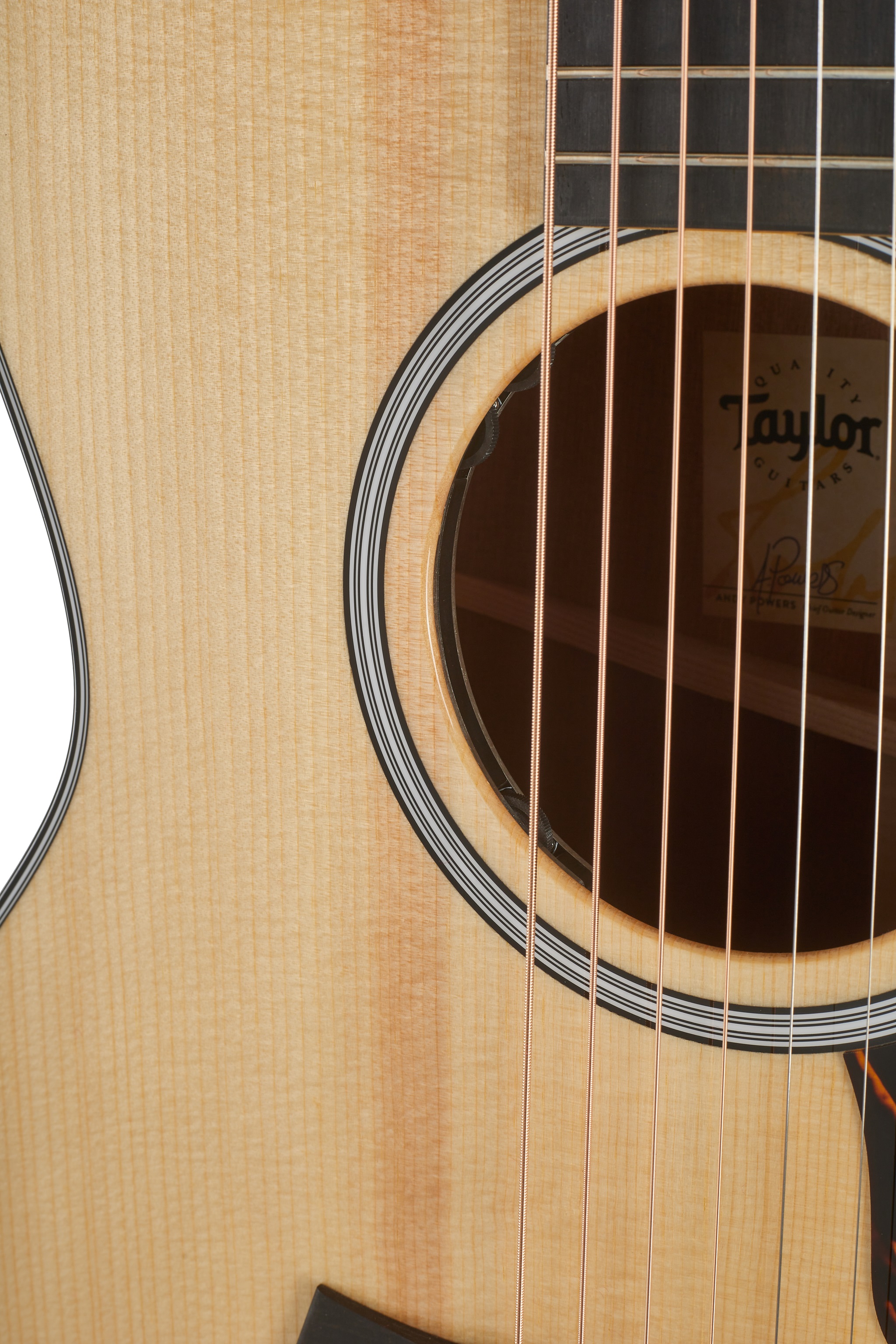 Taylor 314ce Next Generation (obrázek 4)