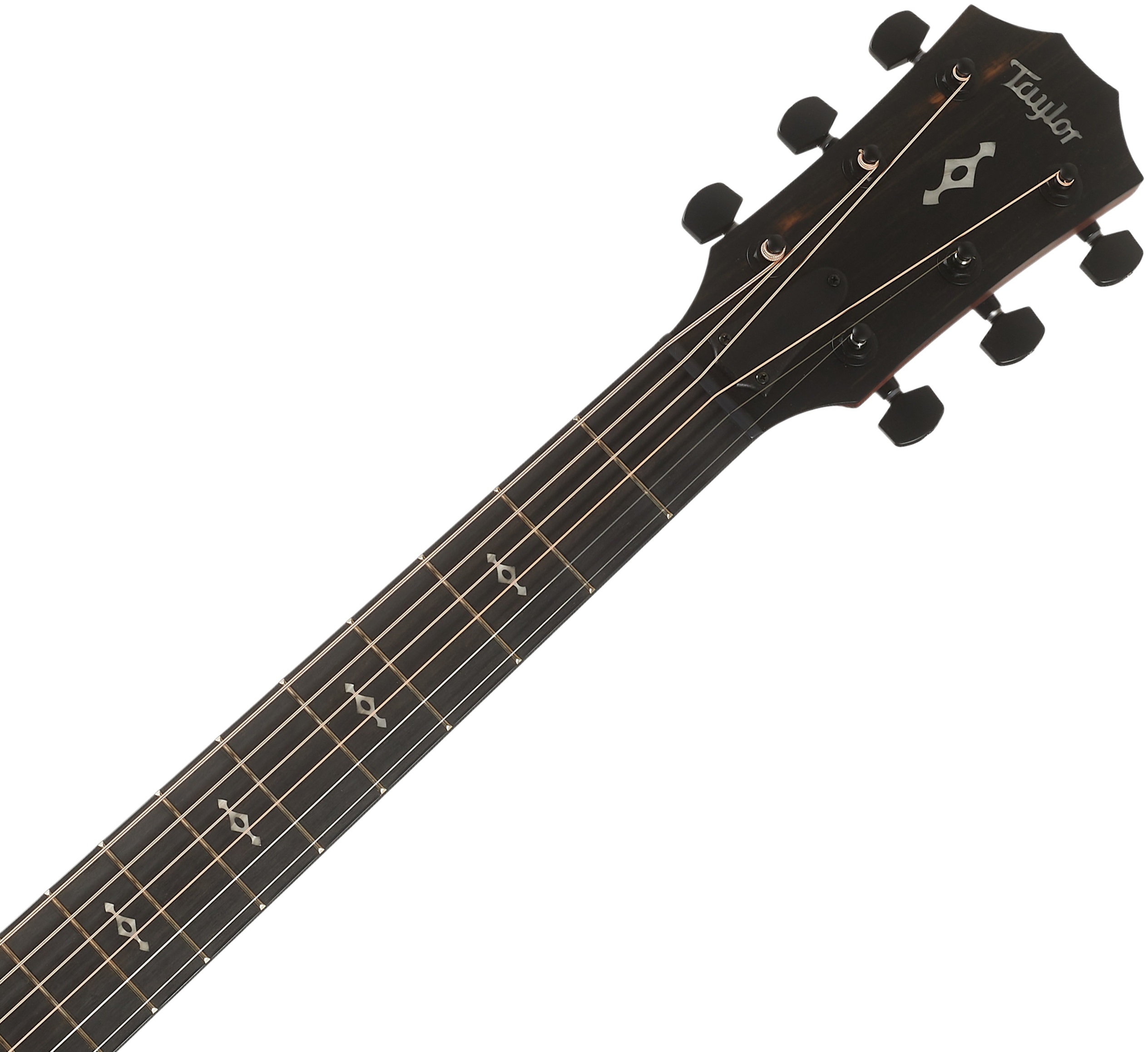 Taylor 324ce Next Generation (obrázek 4)