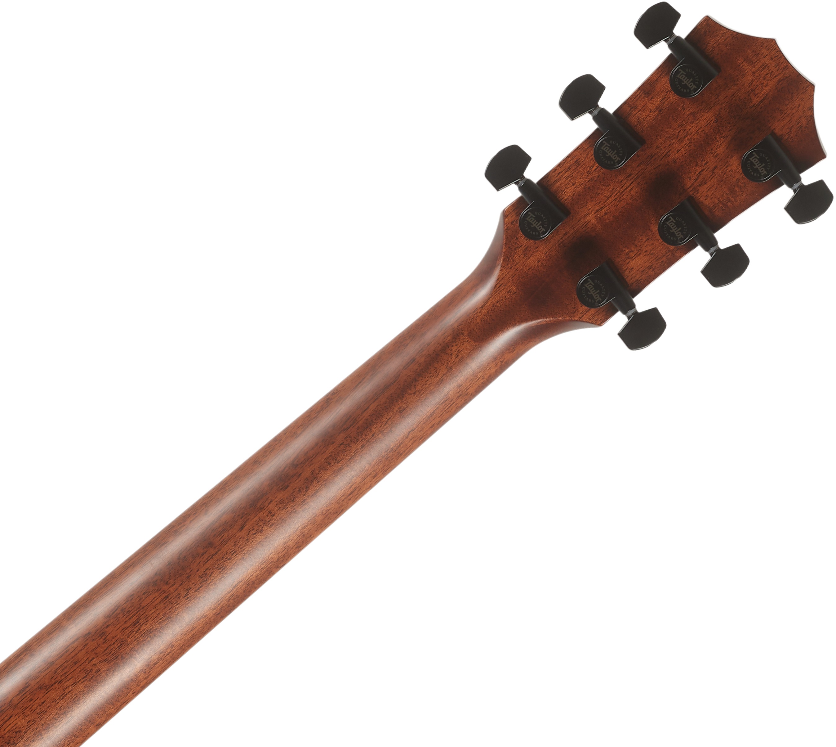 Taylor 324ce Next Generation (obrázek 5)