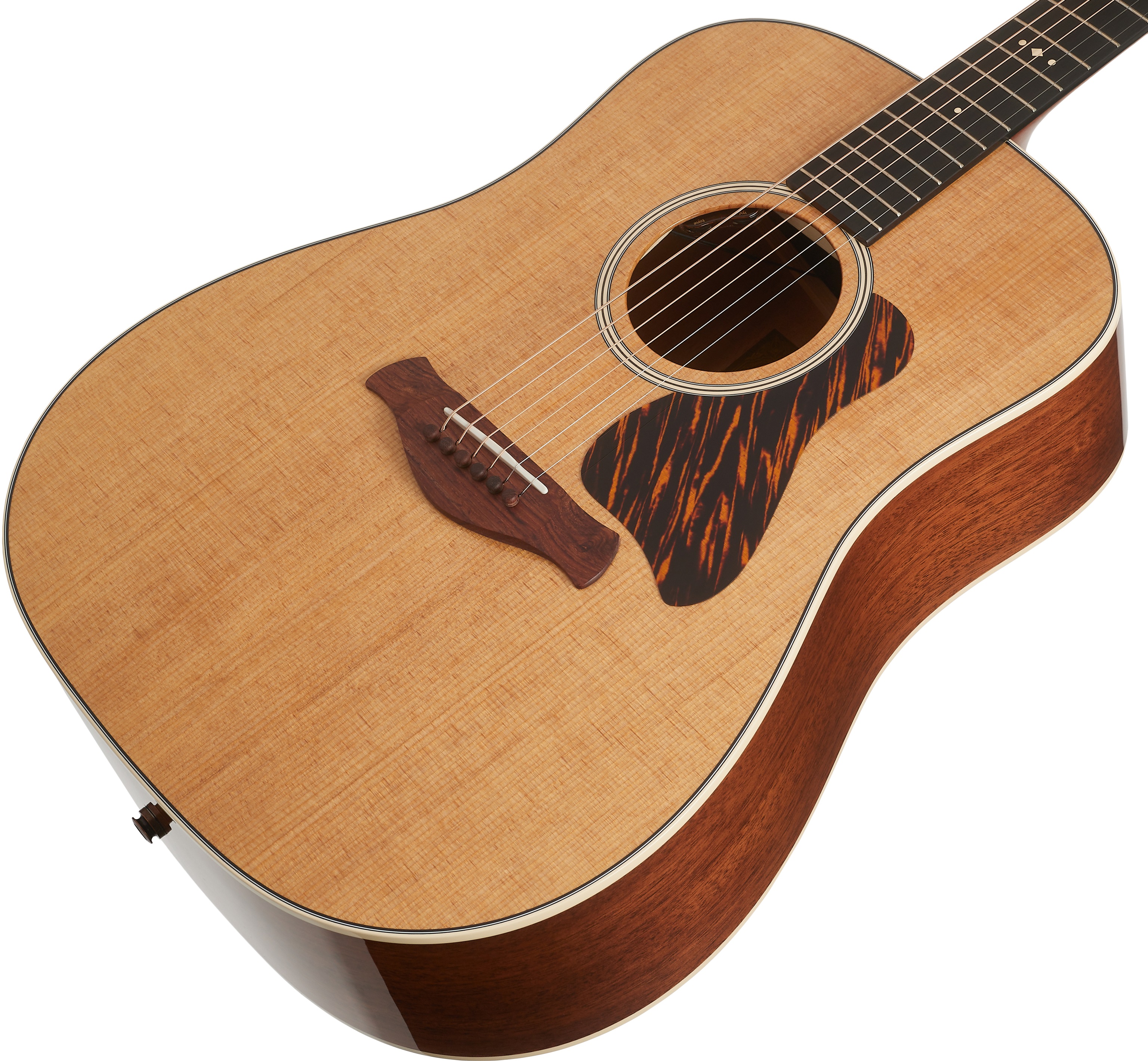 Taylor Gold Label 510e (obrázek 3)