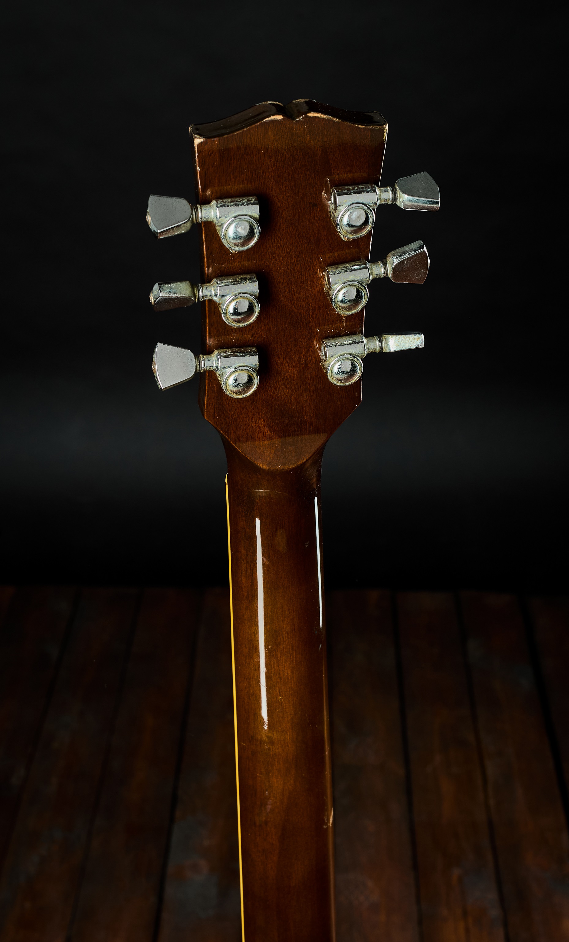 Aria Pro 2 70s Leopard Standard (obrázek 6)