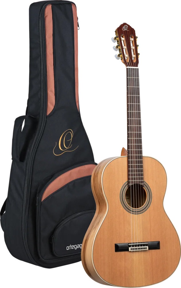 Ortega R20GSNRG (obrázek 5)