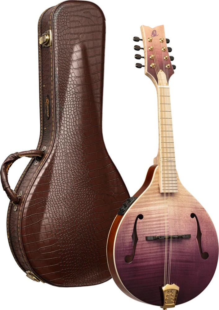 Ortega RMAE200PF (obrázek 5)