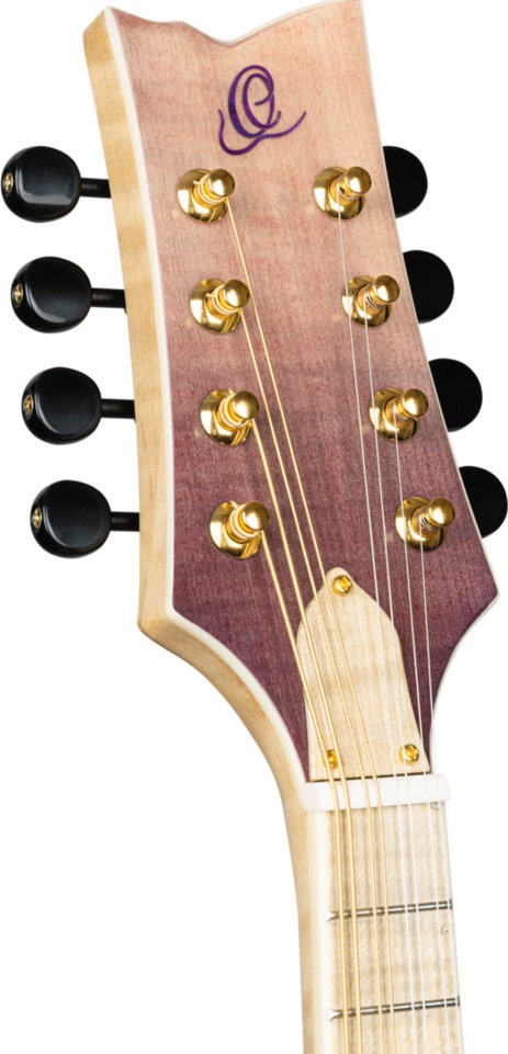 Ortega RMF200PF (obrázek 3)