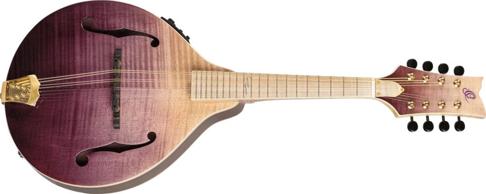 Levně Ortega RMAE200PF