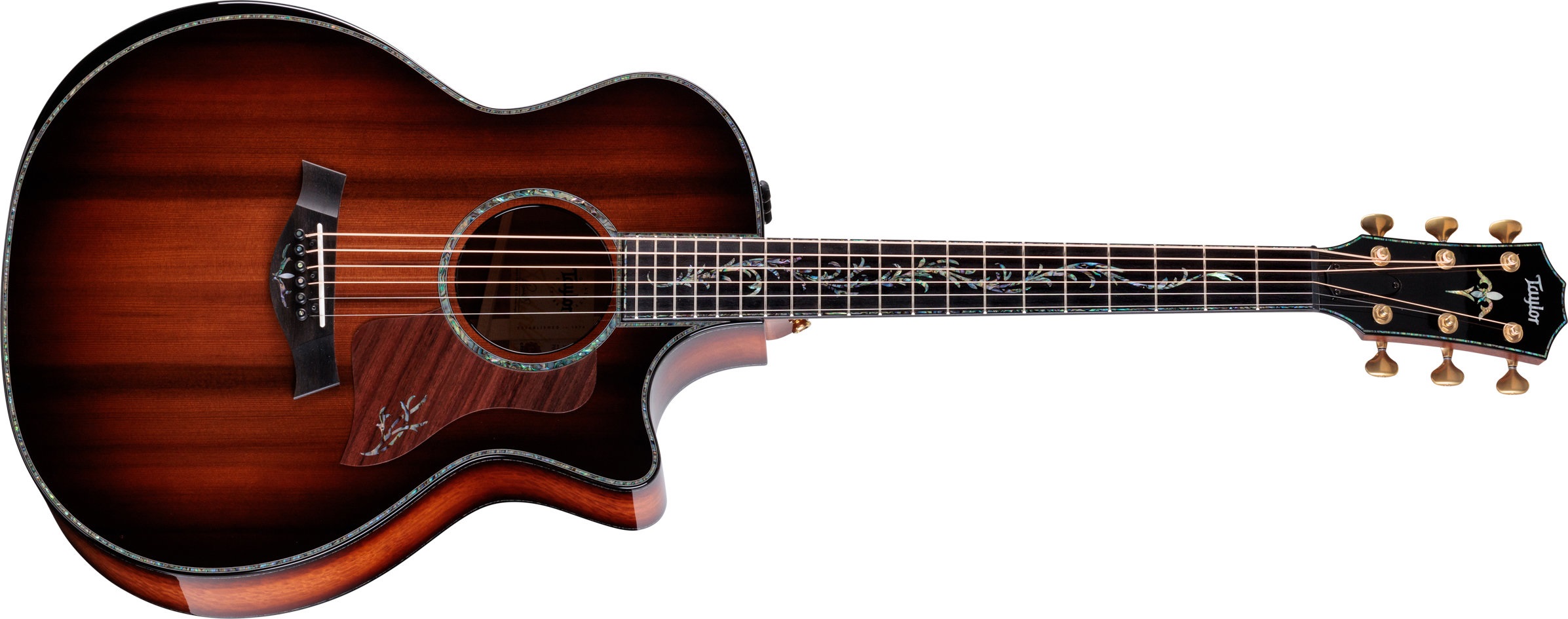 Levně Taylor PS14ce Figured Urban Ironbark / Redwood