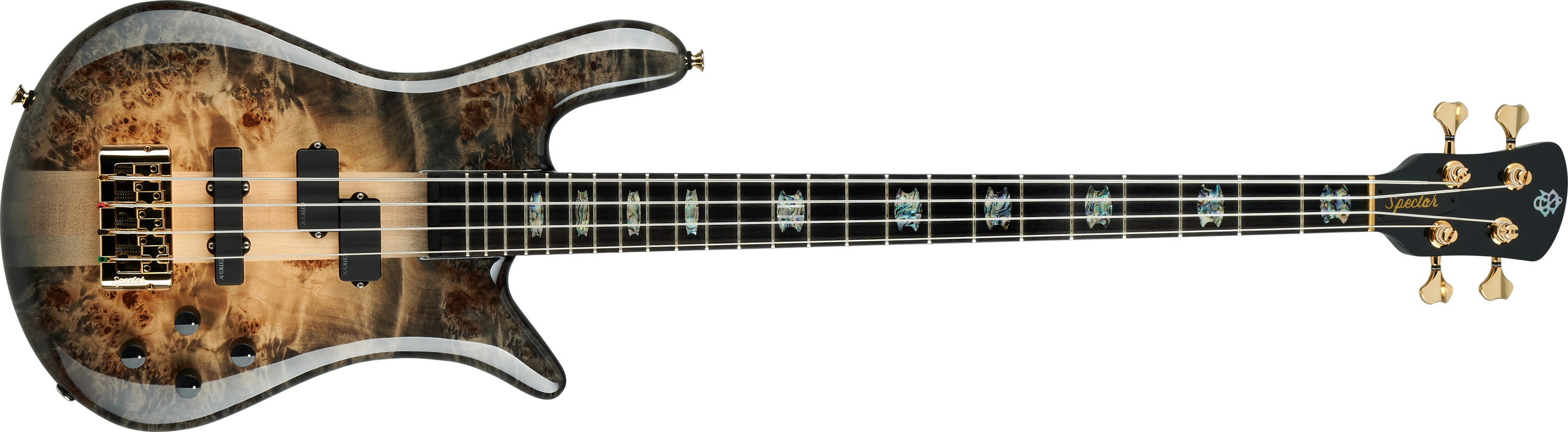 Levně Spector Euro CST 4 Natural Black Burst