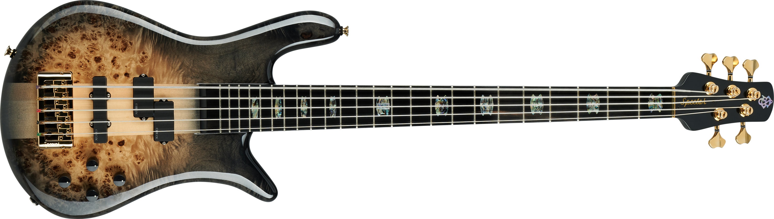 Levně Spector Euro CST 5 Natural Black Burst