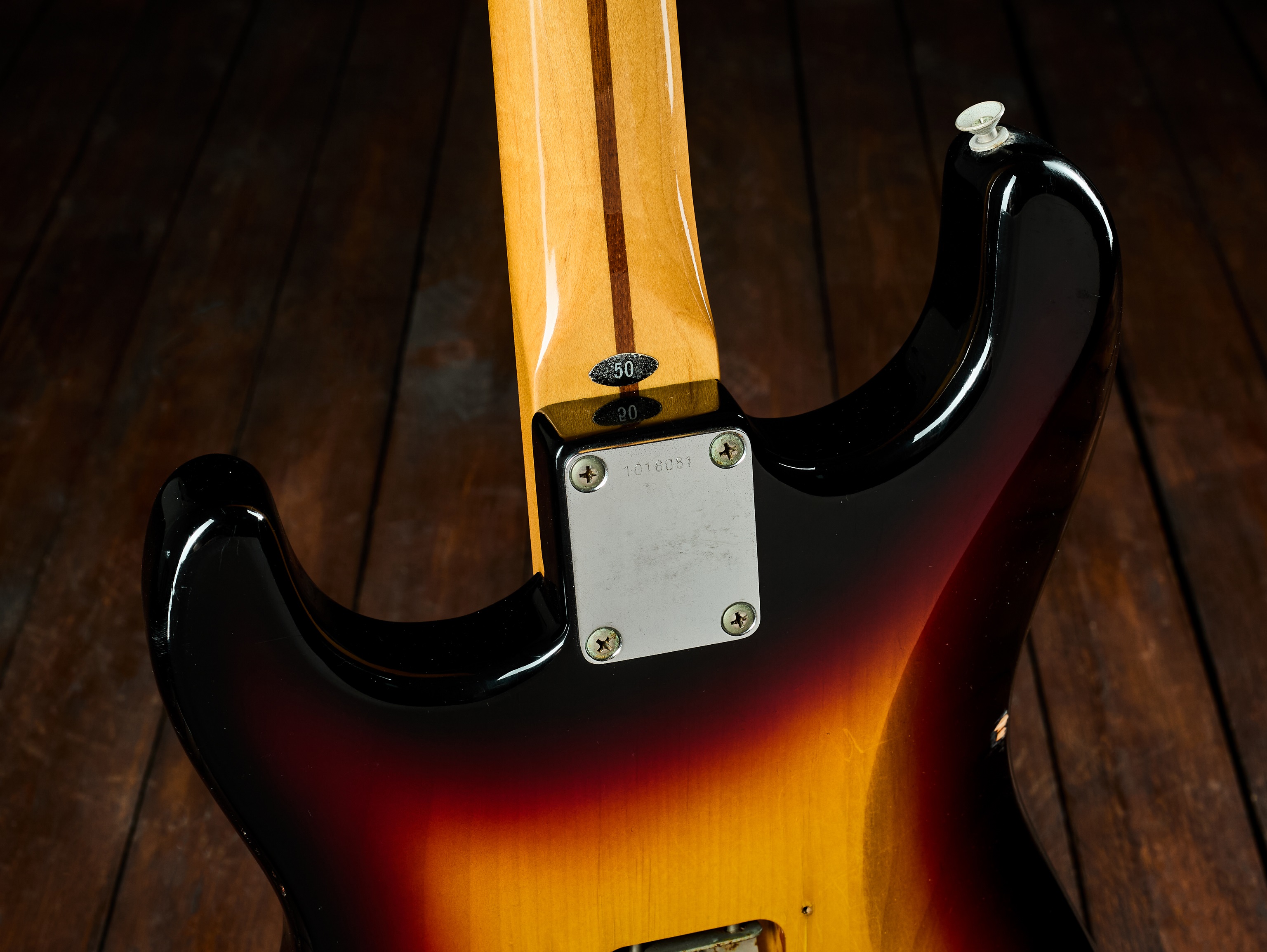 Tokai 1981 ST50 No Logo HSS (obrázek 5)