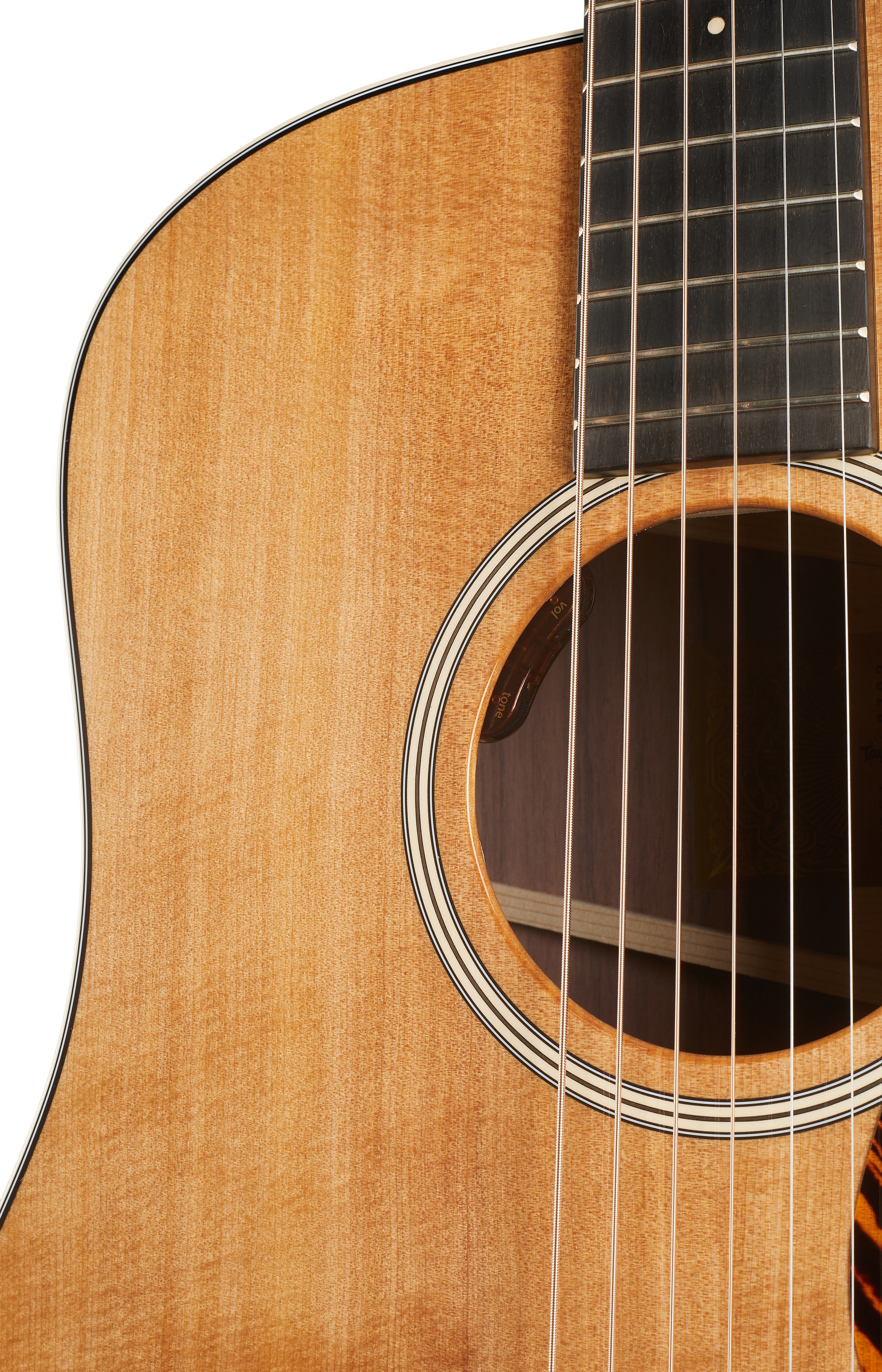 Taylor Gold Label 710e (obrázek 4)