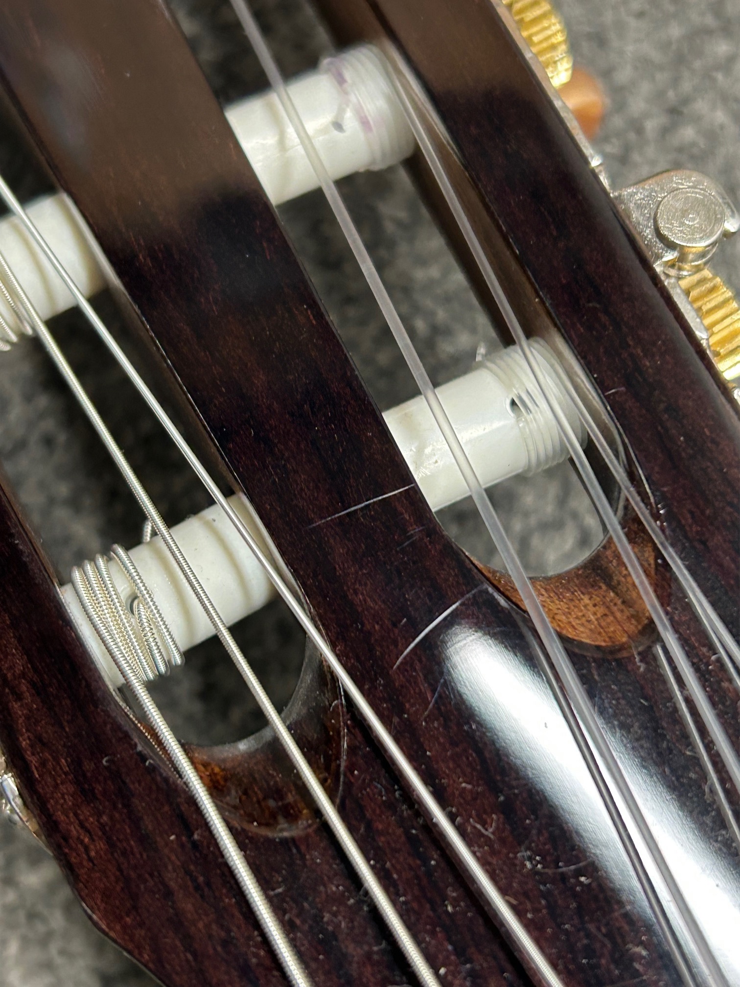 Cort CEC-5 NAT (použité) (obrázek 7)