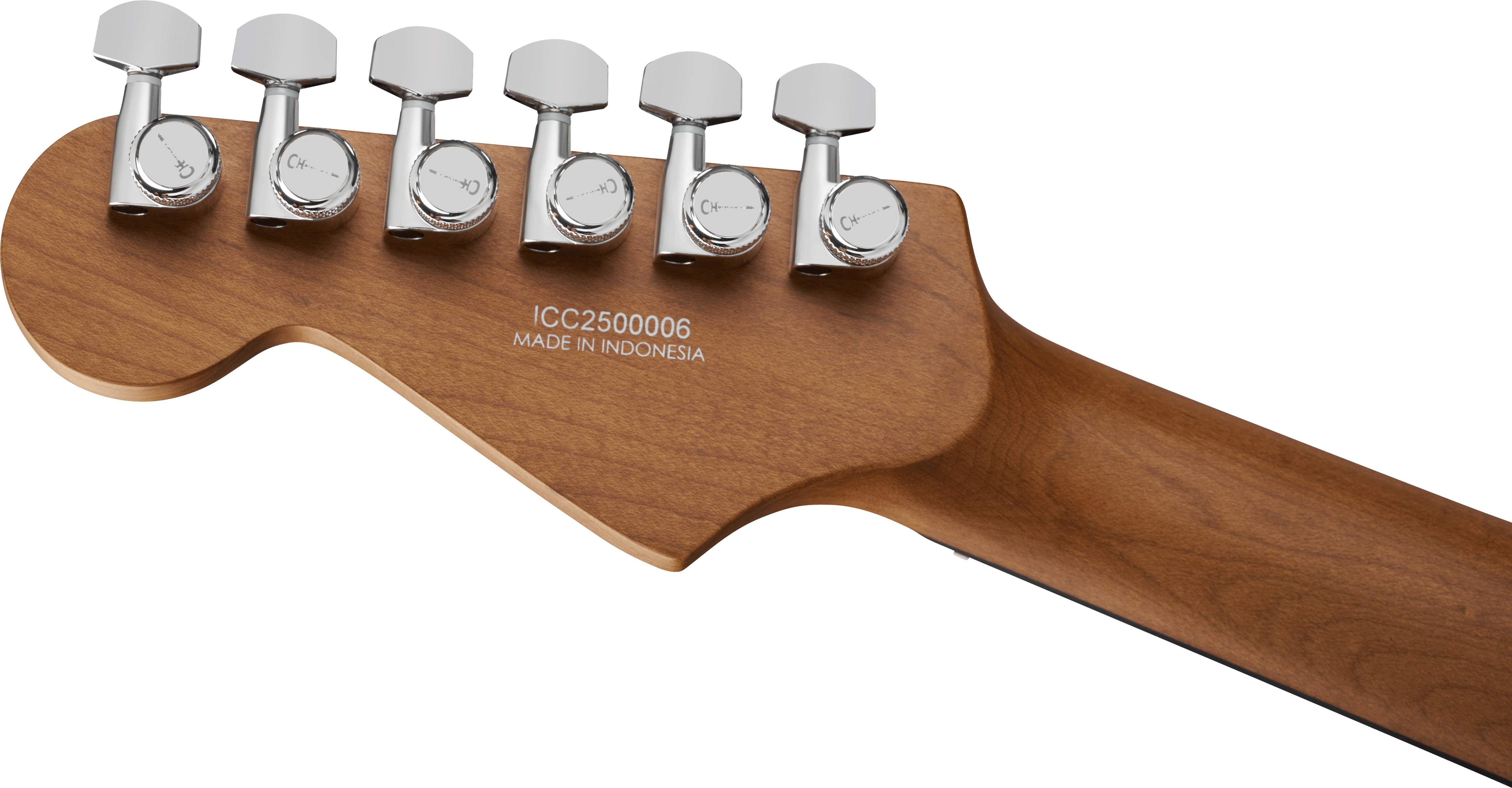 Charvel Pro-Mod Plus DK24 HH 2PT EB EBY RVEN BLACK (obrázek 5)