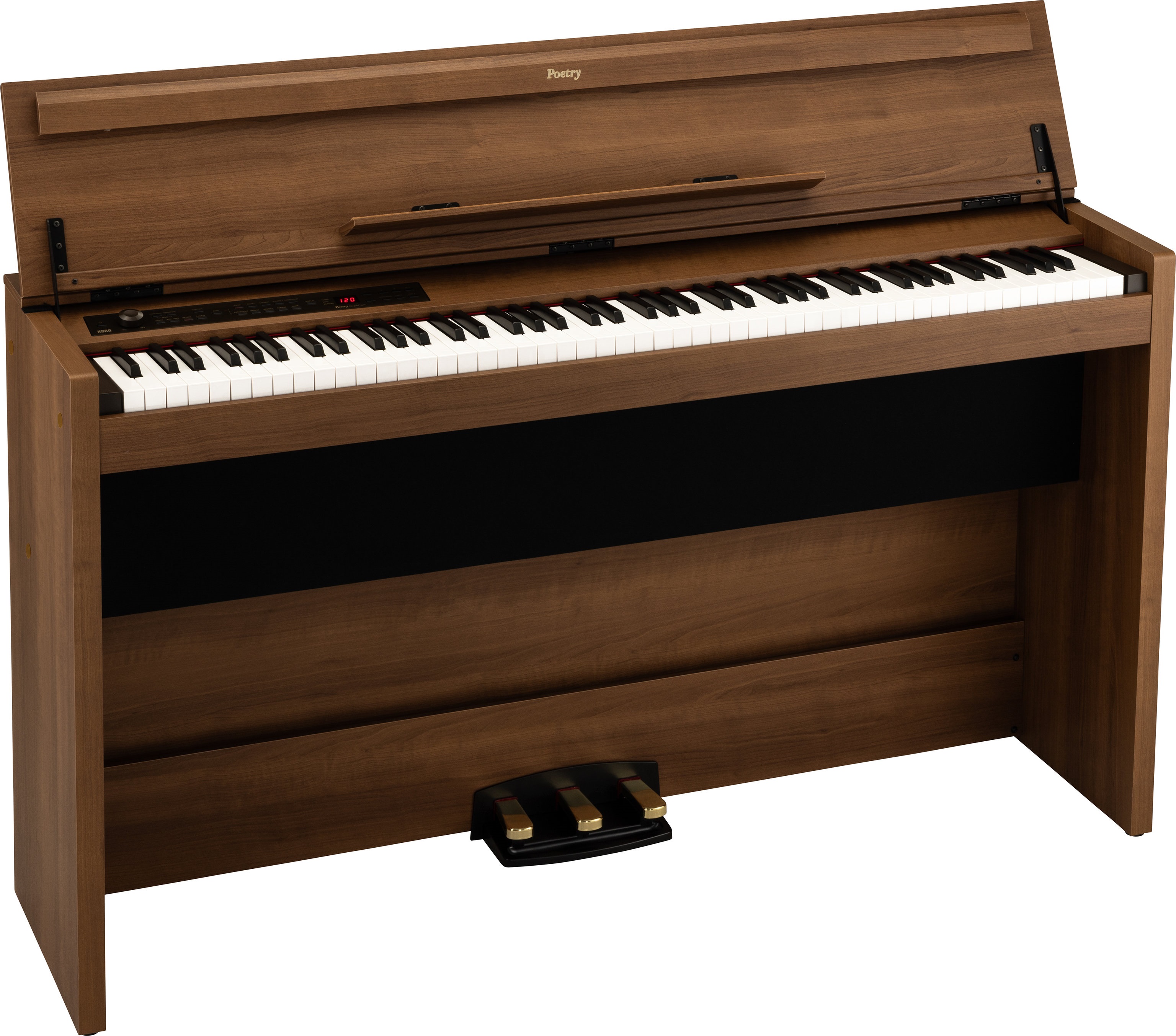 Korg Poetry Magnifique (obrázek 4)