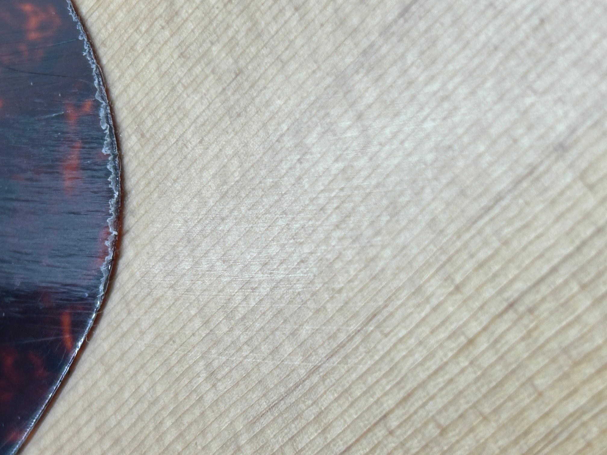 Eastman E1DL (použité) (obrázek 9)