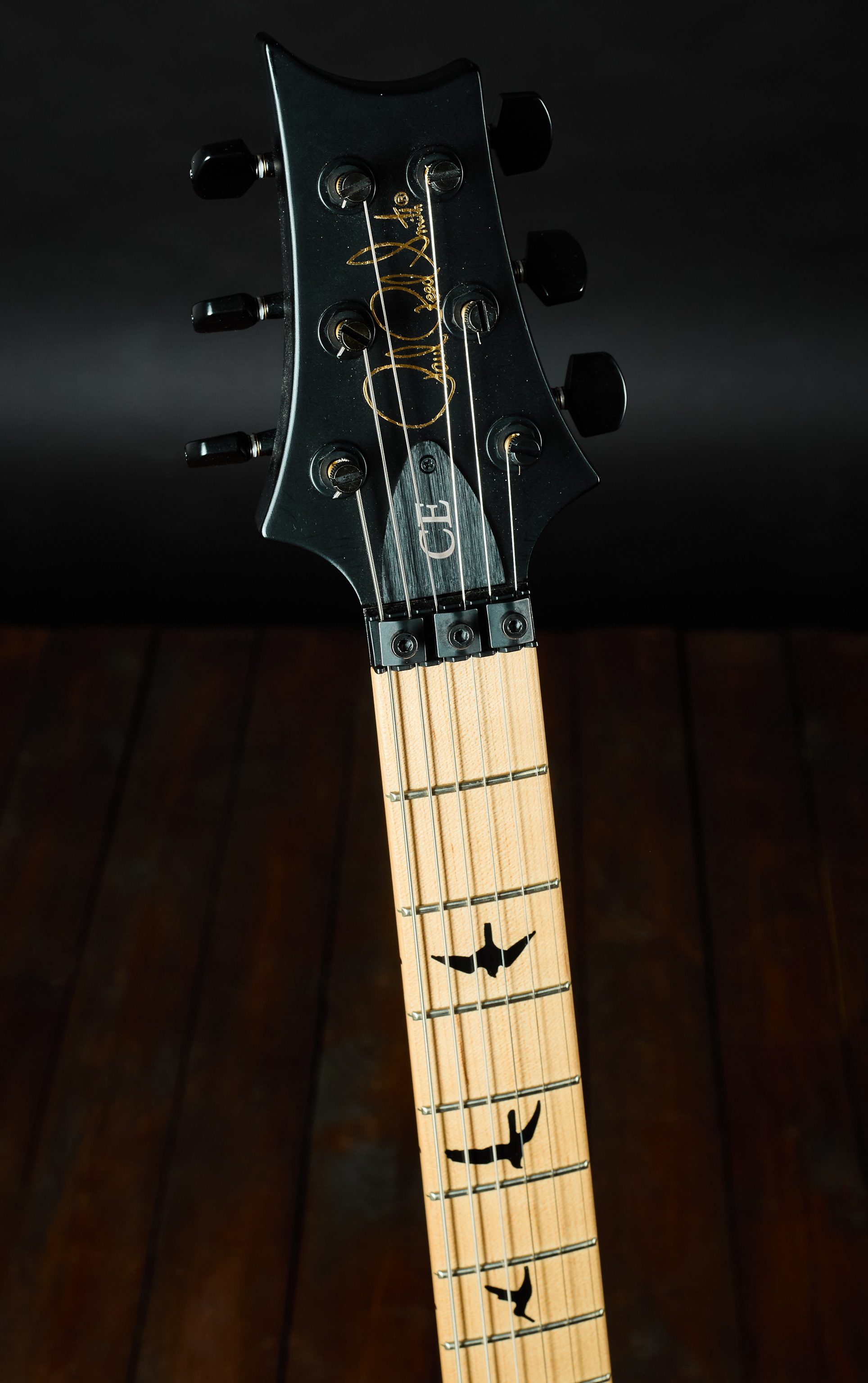 PRS 2023 Dustie Waring CE24 (obrázek 6)