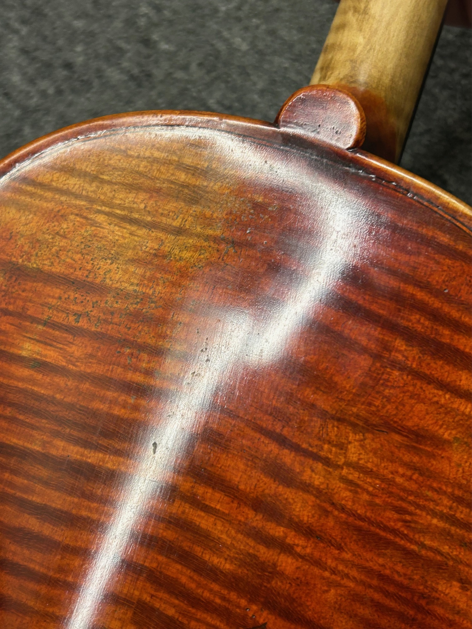 Eastman Andreas Eastman Master Violin 4/4 (VL605) (použité) (obrázek 10)