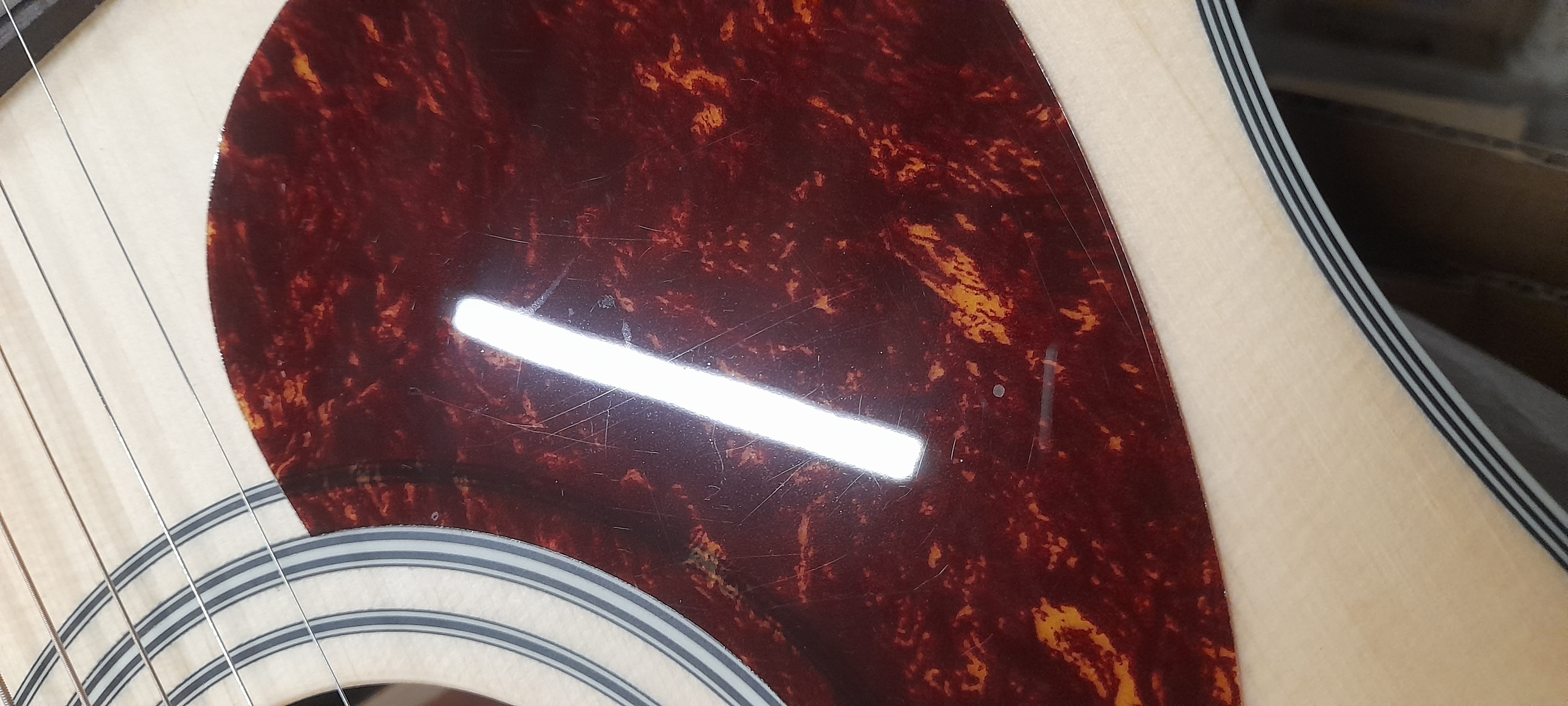 Cort Earth 70 LH OP (použité) (obrázek 6)