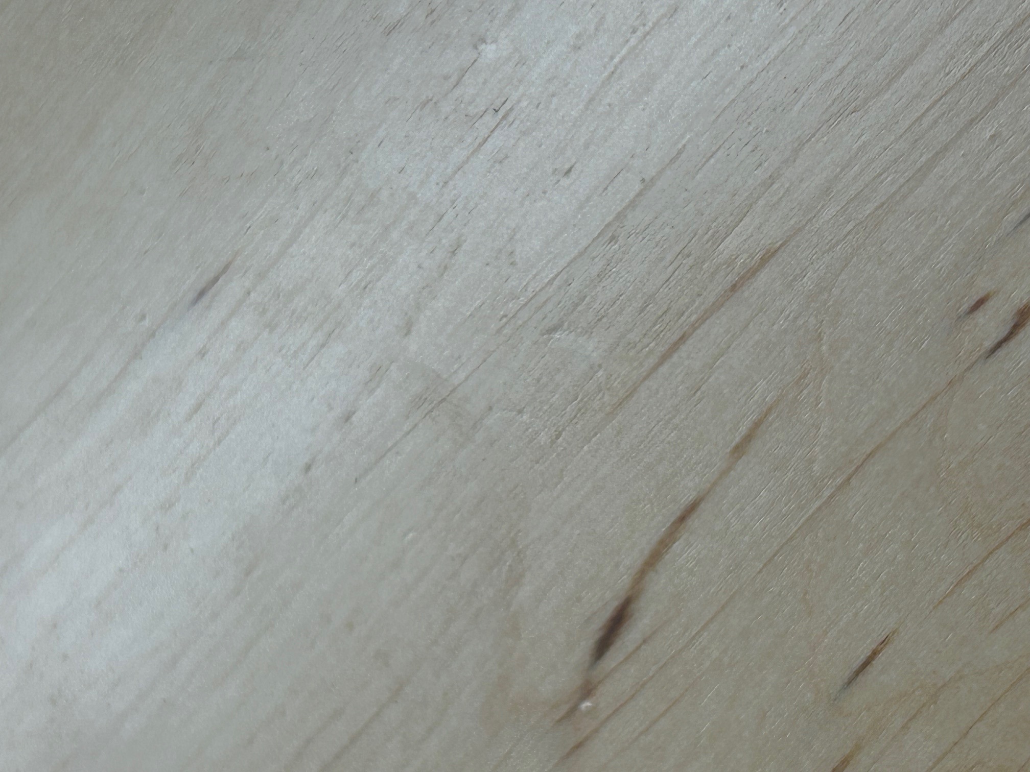 Meinl AEMILLI (použité) (obrázek 7)