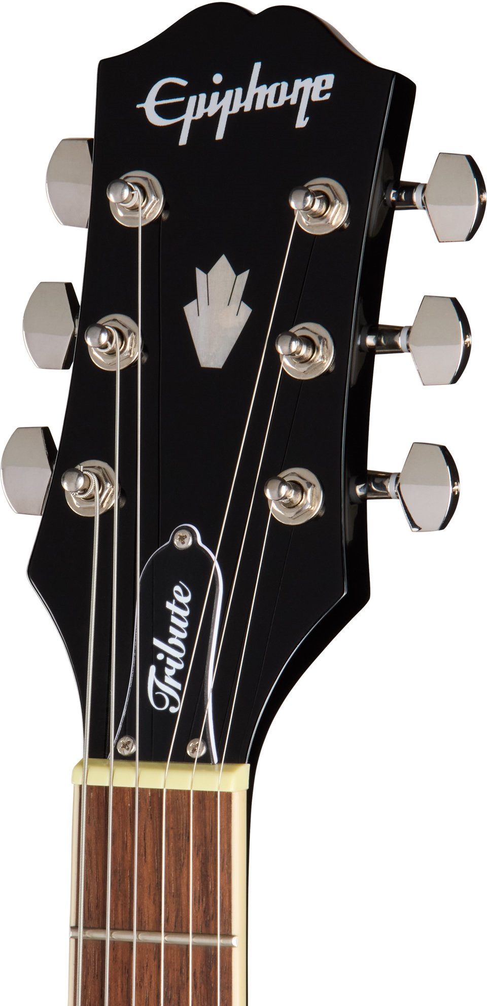 Epiphone SG Tribute Plus Ebony Burst (obrázek 4)