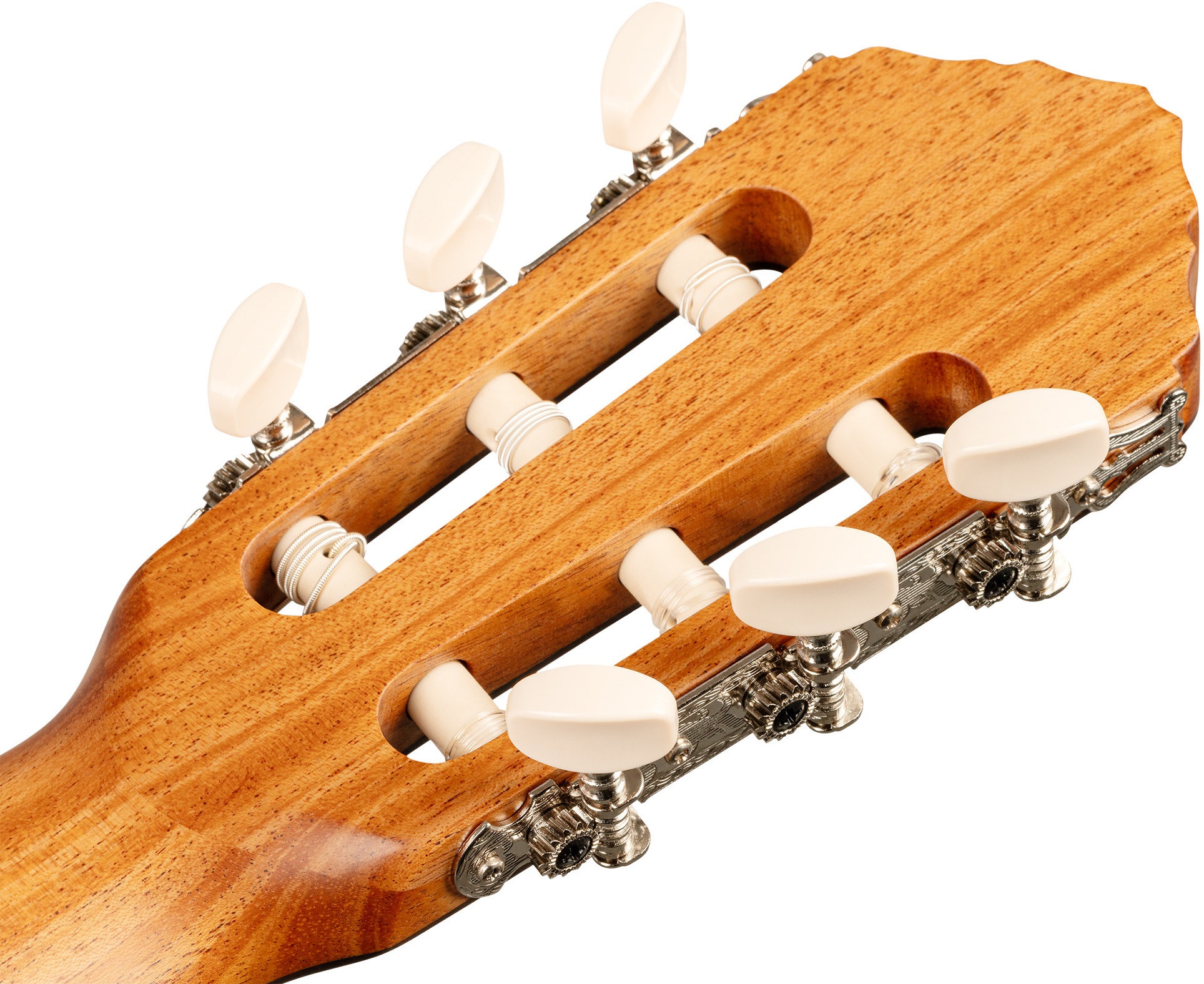 Ortega R18S-L (obrázek 5)