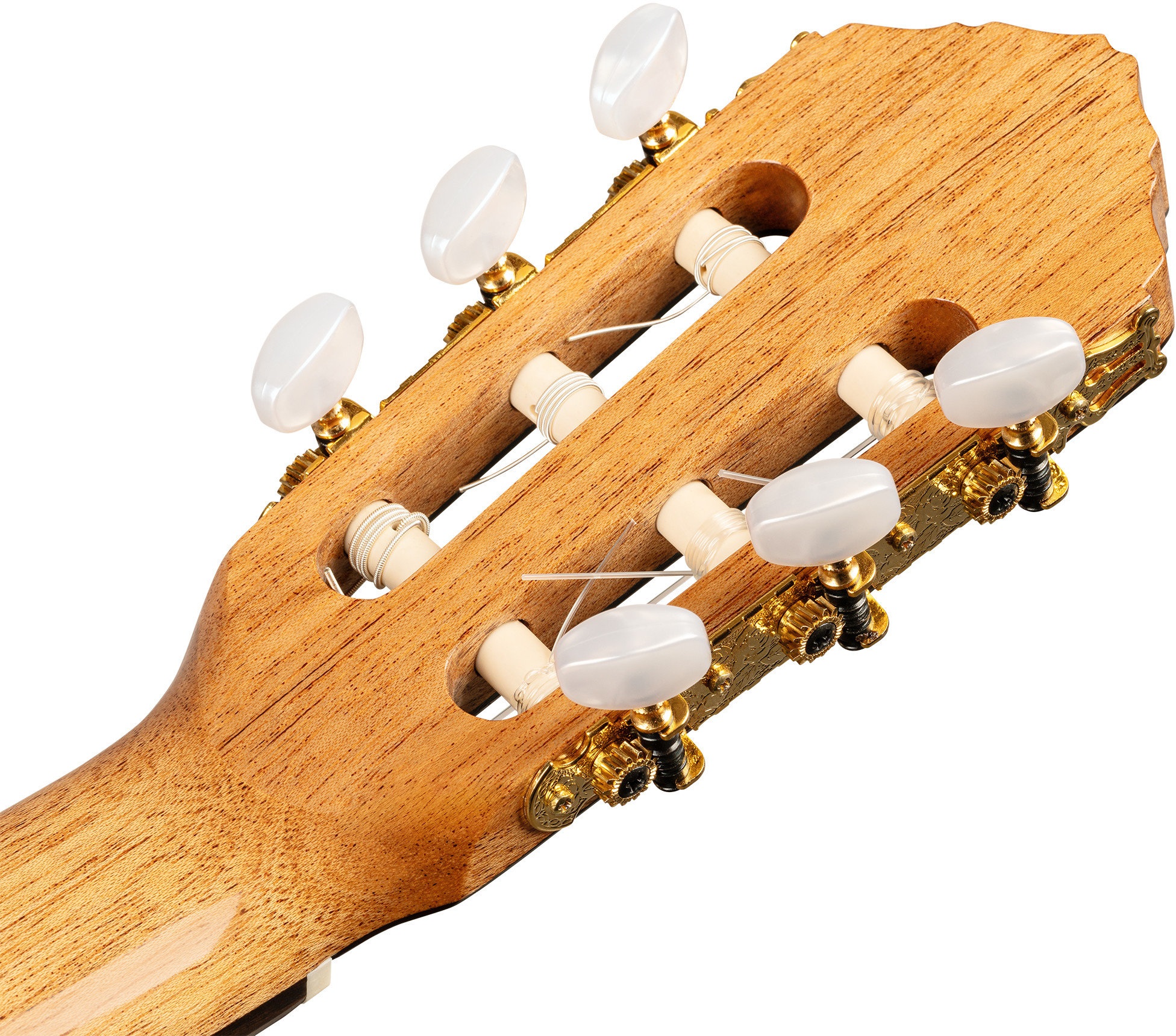 Ortega R20GRG-L (obrázek 5)